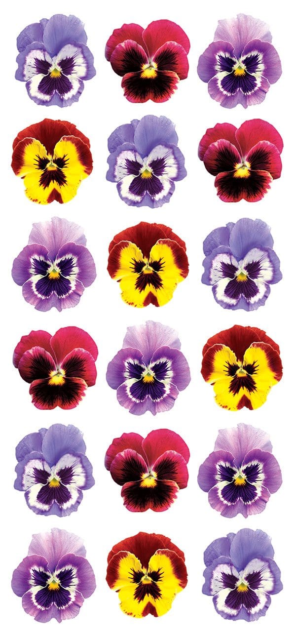  Puffy Stickers - Pansies、mySite、ghnorth