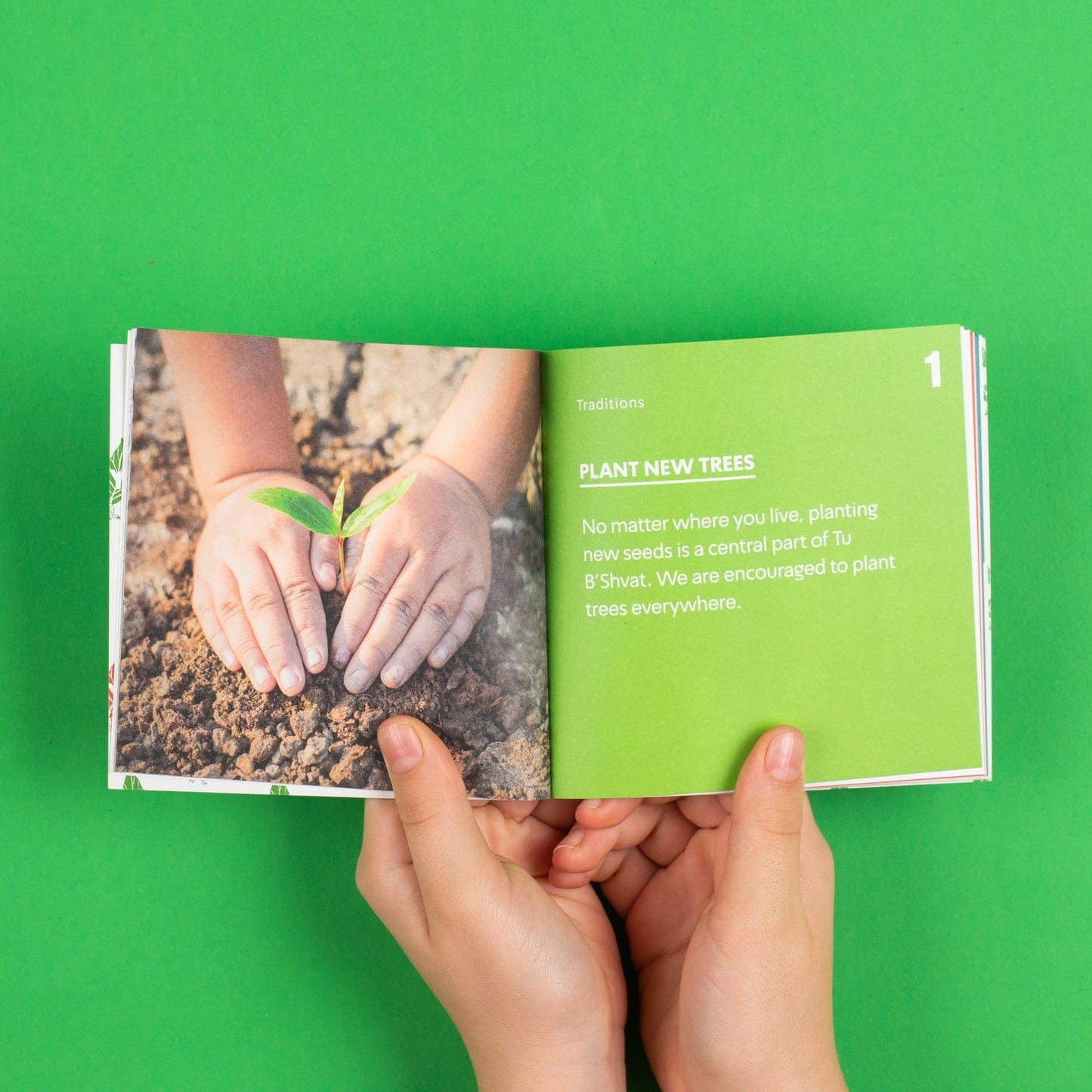 Tu B'Shvat in a Box、mySite、topwebapps