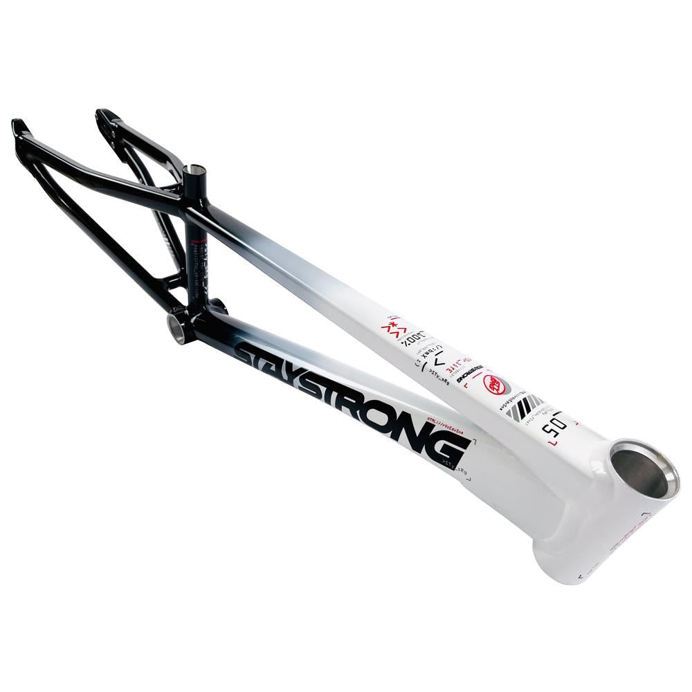  Stay Strong For Life 2024 V5 Expert Race Frame - Disc Frame、mySite、merchandisen
