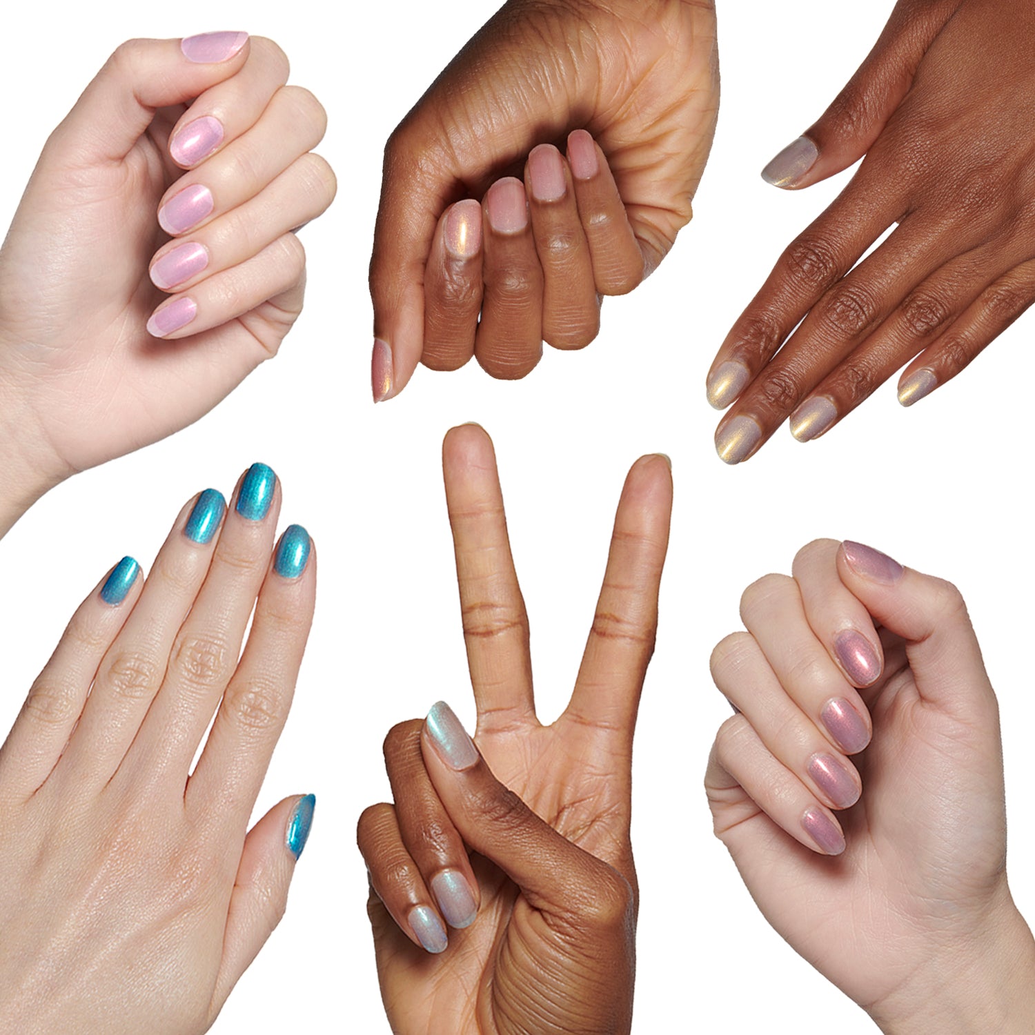 Goldfish Set、mySite、solidvoid