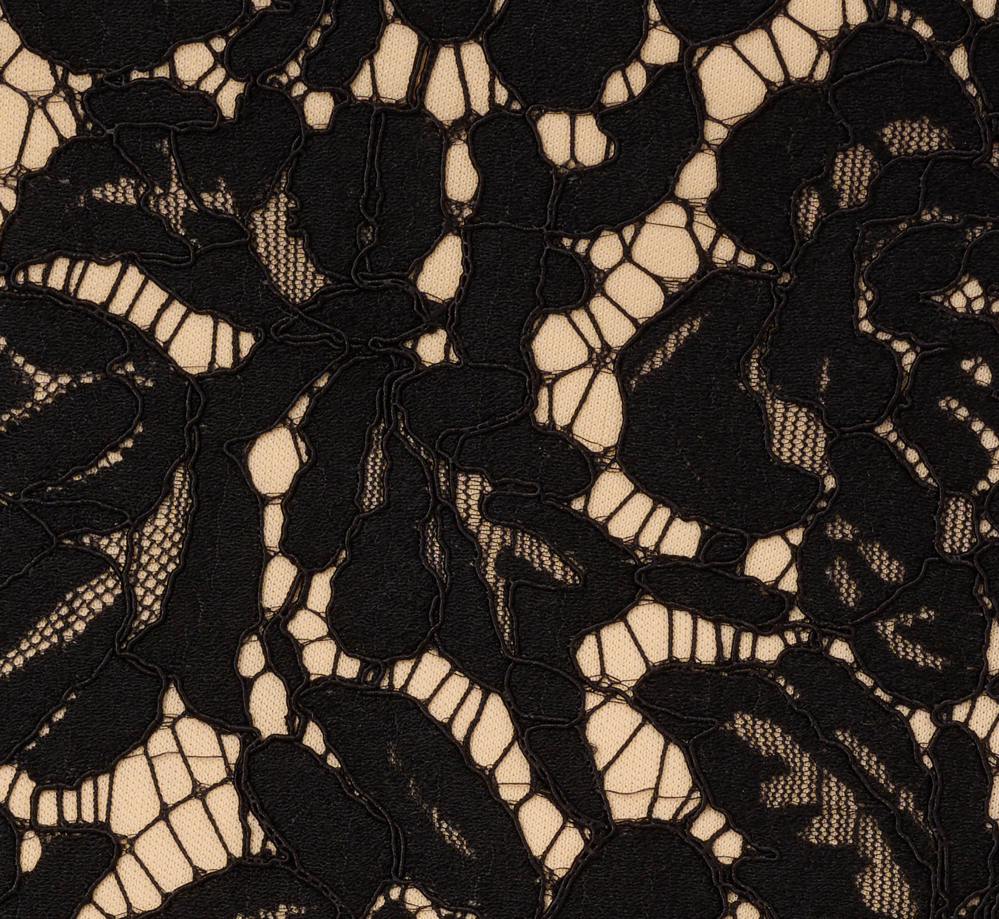 Cap Sleeve Lace Cocktail Dress With Feather Trim In Black Nude、mySite、solidvoid