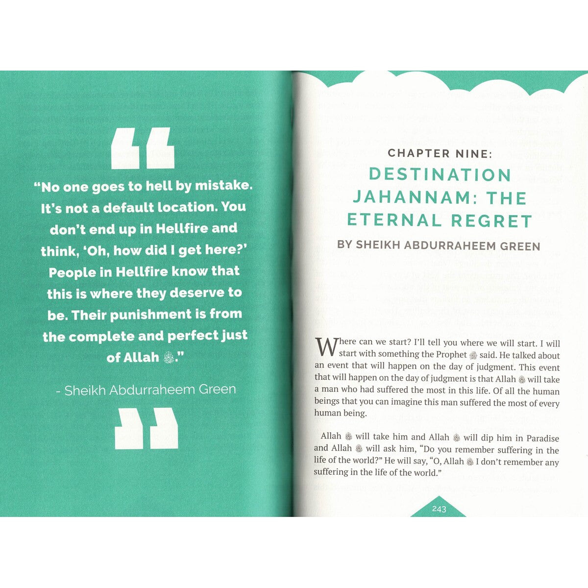 Destination Jannah by Mufti Ismail Menk 9789675699771、mySite、topwebapps