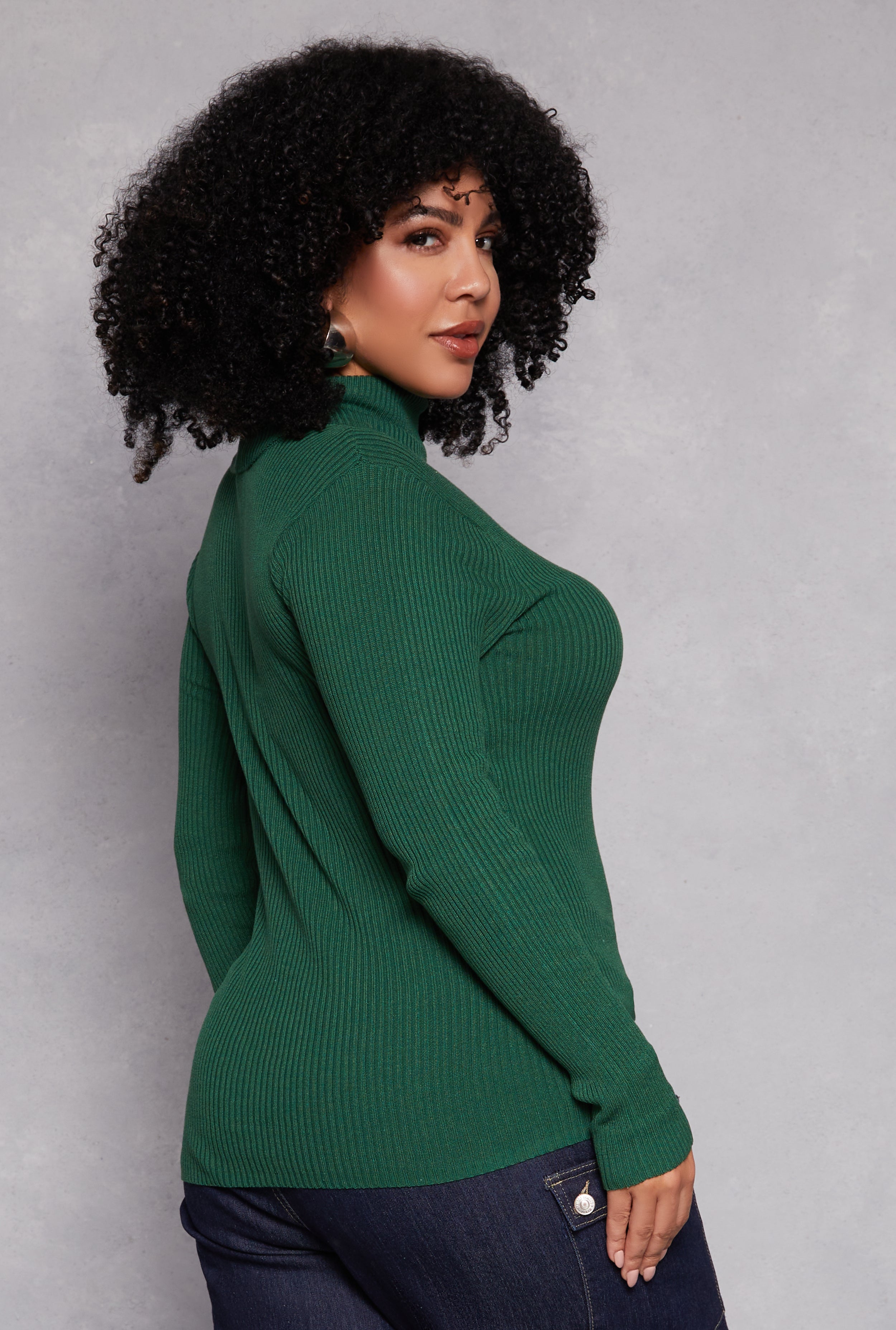 Plus Size Ribbed Knit Turtleneck Pullover Top、mySite、camillekostekn