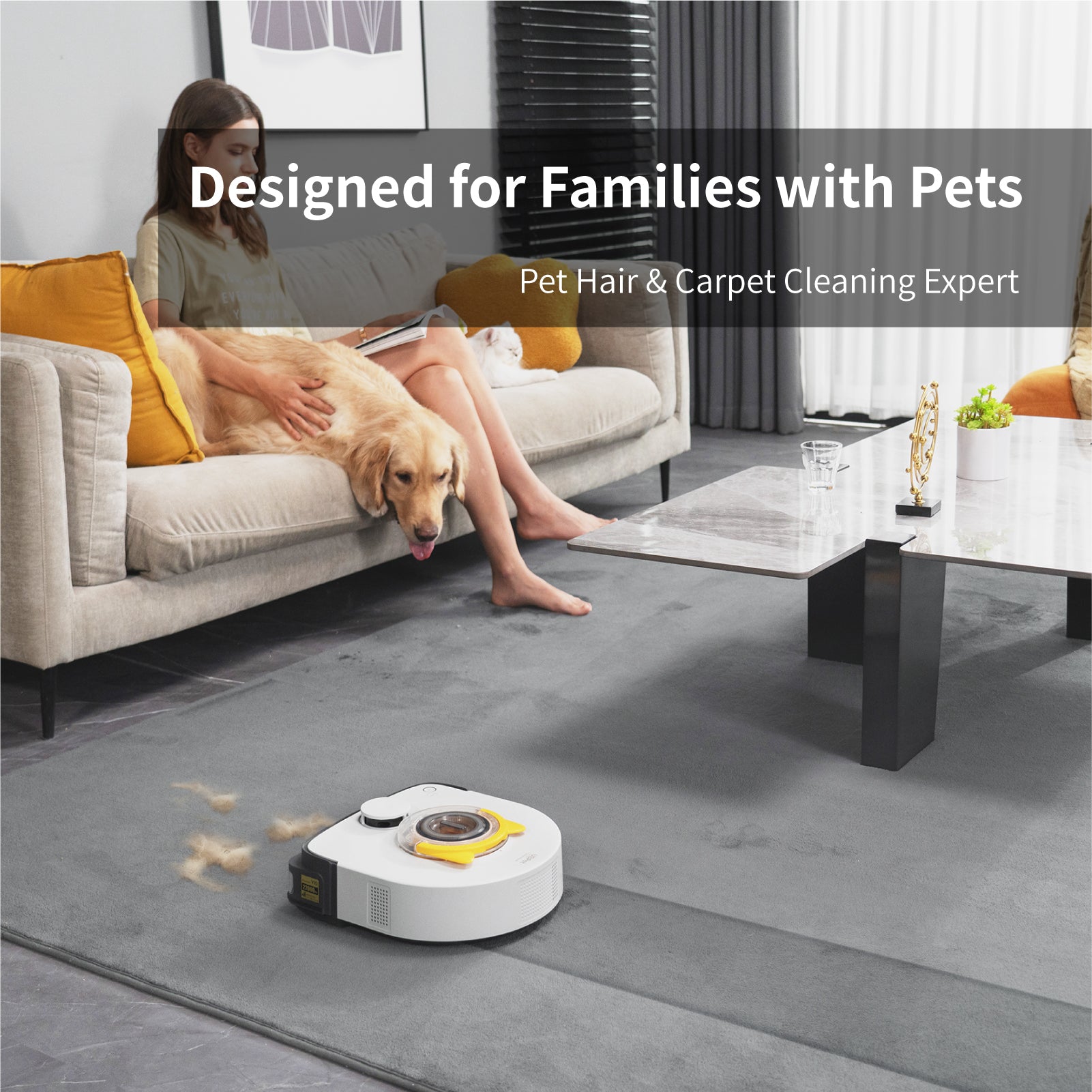Pettecc UB Pet V10 Cyclone Vacuum Robot、mySite、camillekostekn
