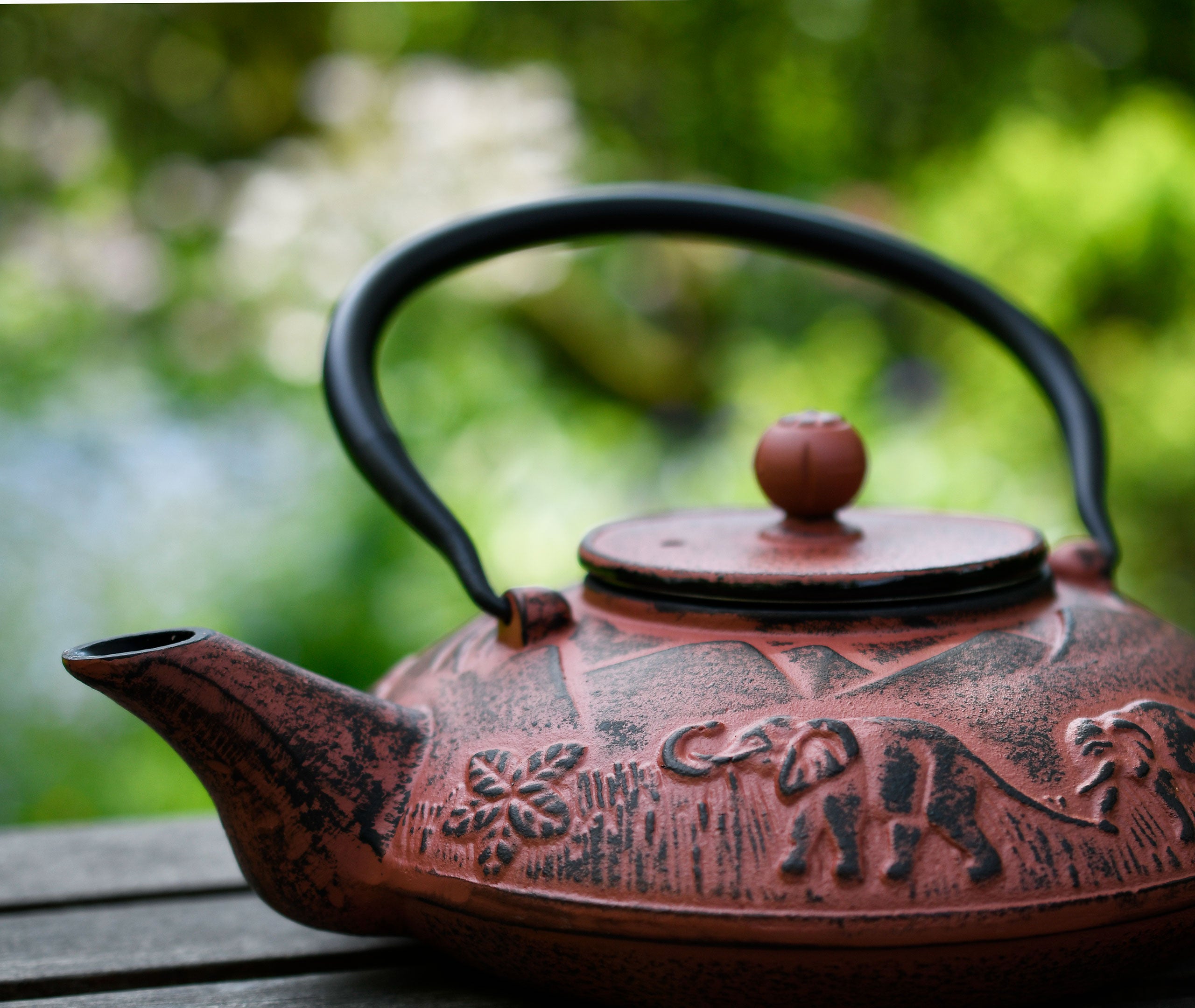 Cast Iron Teapot Elephant 1.1L、mySite、topwebapps