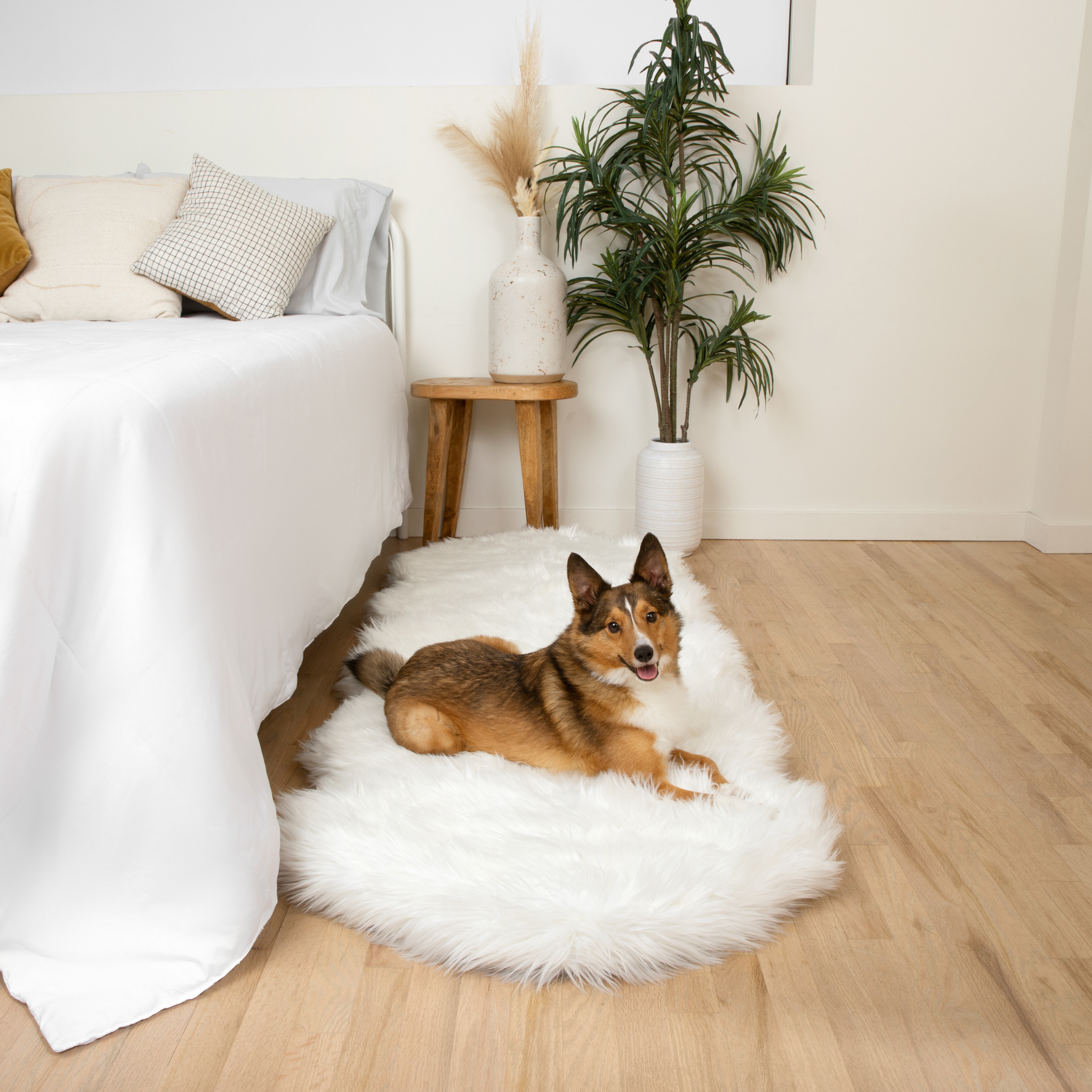 PupRug™ Orthopedic Runner Bed + Matching Waterproof Blanket Bundle - Polar White、mySite、solidvoid