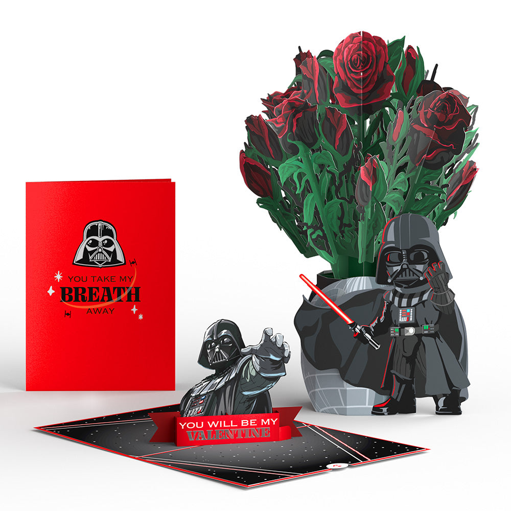 Star Wars™ Darth Vader™ Take My Breath Away Pop-Up Card & Flower Buds Bouquet Bundle、mySite、solidvoid