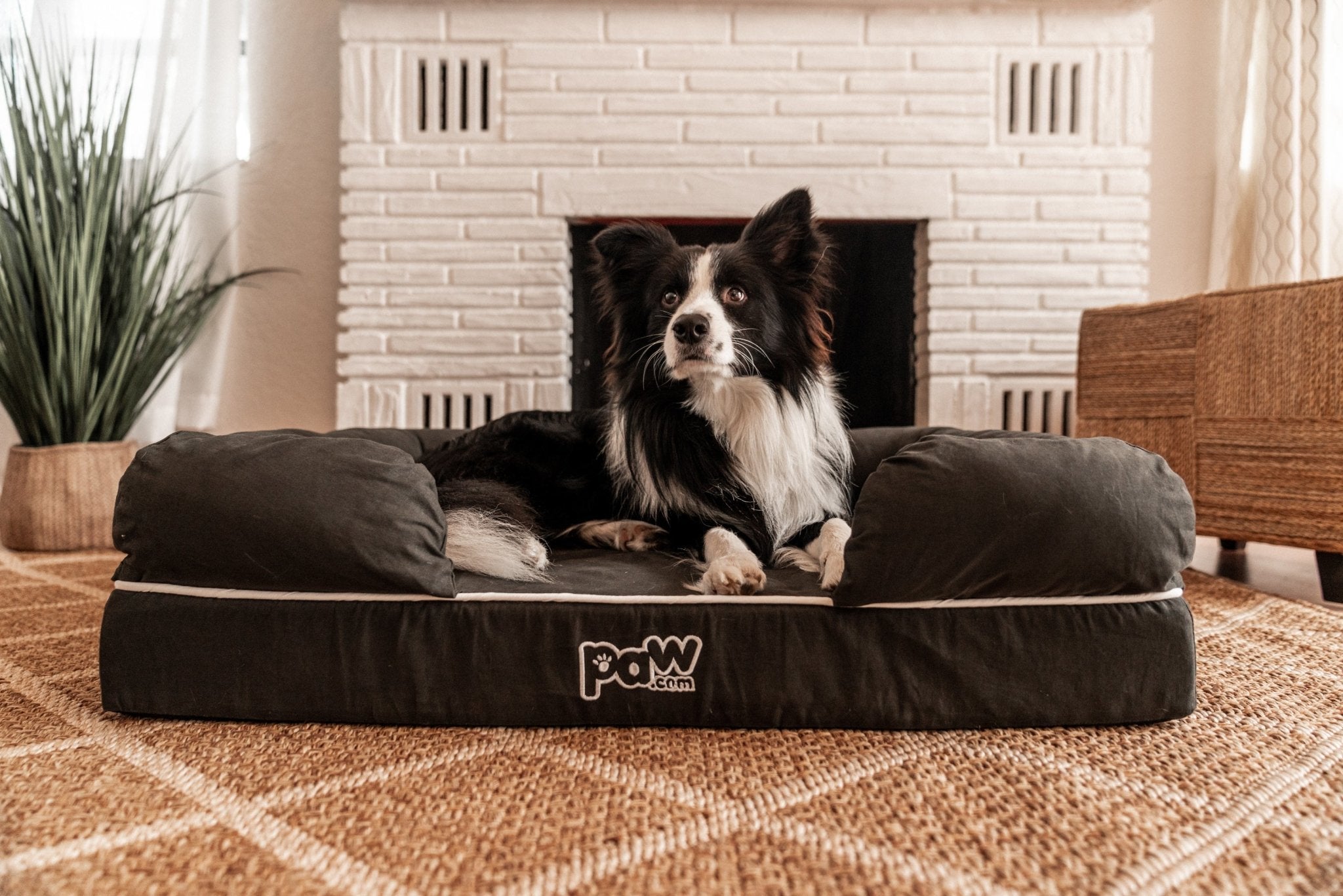 PupLounge™ Memory Foam Dog Bed Cover - Charcoal Grey (Bed Not Included) - Small、mySite、solidvoid