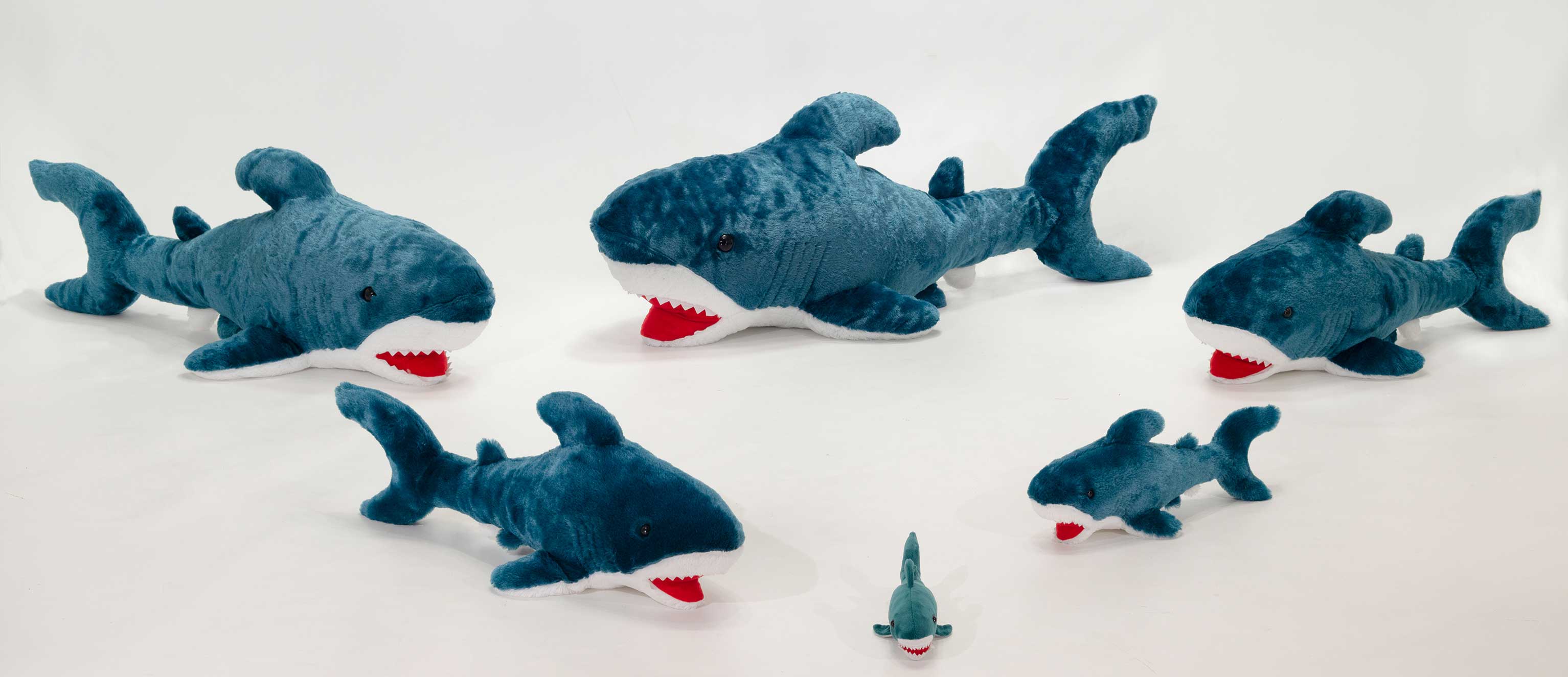 18IN BLUE SHARK WITH FIESTA WHT HT、mySite、g9winljtr