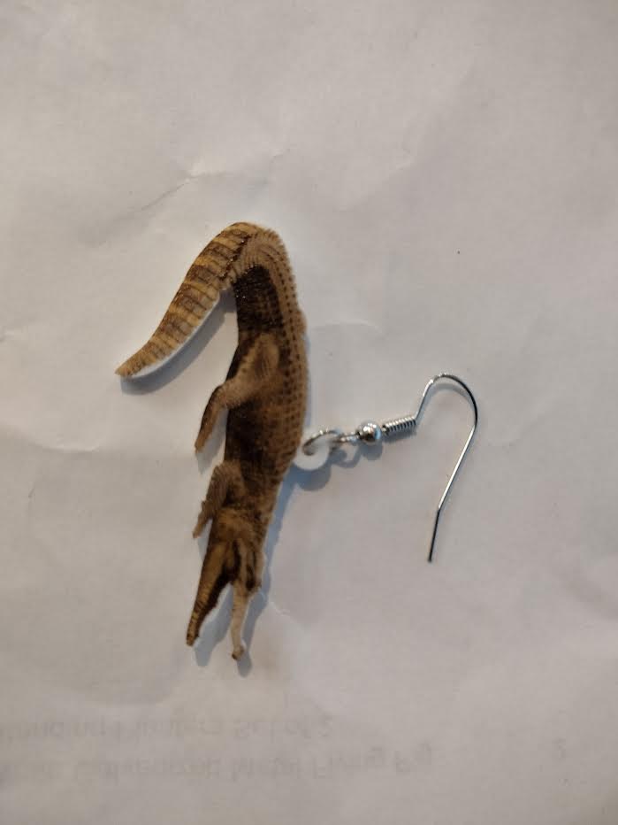 Acrylic Animal Earrings Raccoon Gator Skunk Hedgehog Jaguar、mySite、g9winljtr