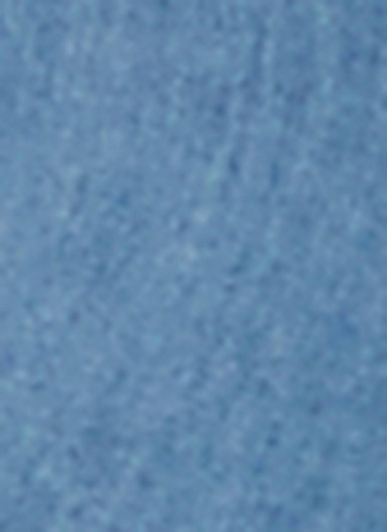 Denim Cropped Shirt、mySite、camillekostekn