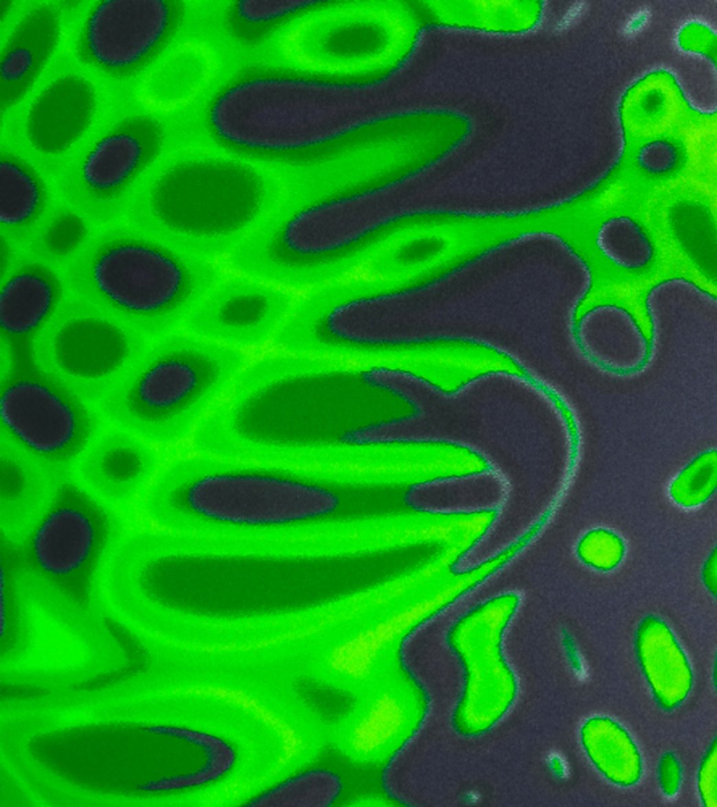 Waterpro Cyclone One Piece Swimsuit、mySite、noshort