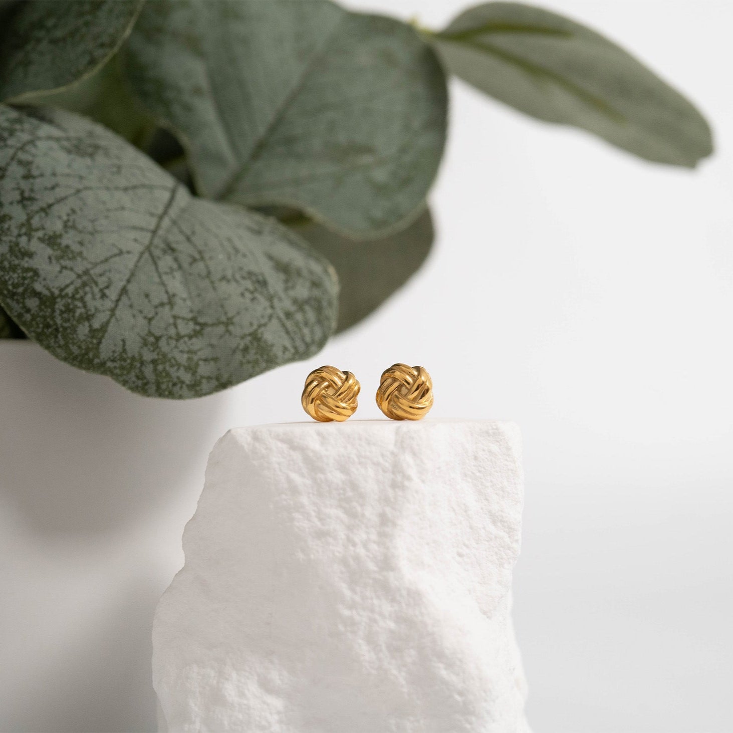 18K Gold PVD Stainless Steel Knot Stud Earrings / ERJ0077、mySite、dreamappss