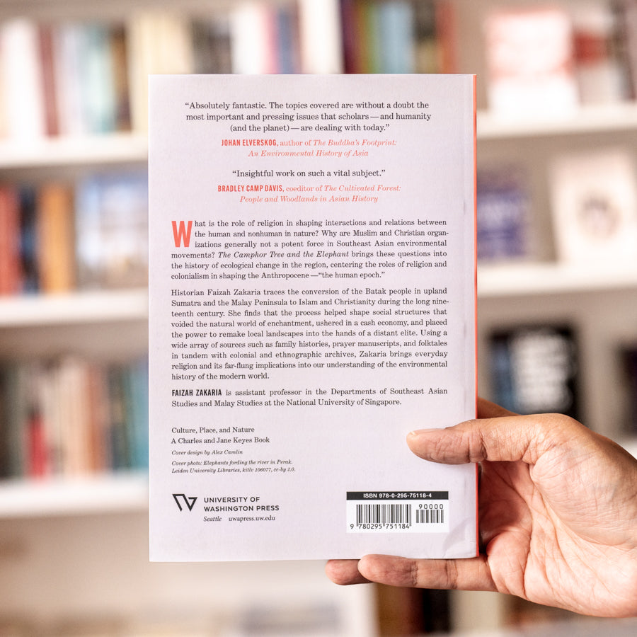 The Camphor Tree and the Elephant、mySite、topwebapps