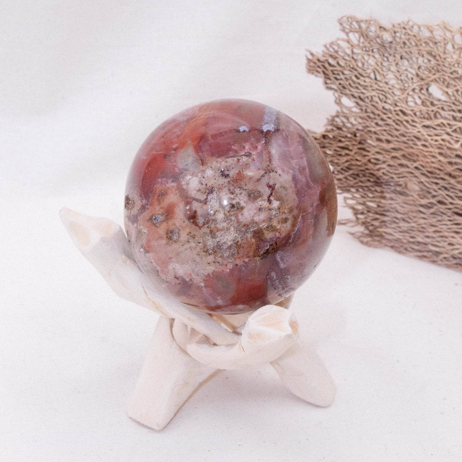 Petrified Wood Sphere - AAA Premium Quality、mySite、hinf8tx79