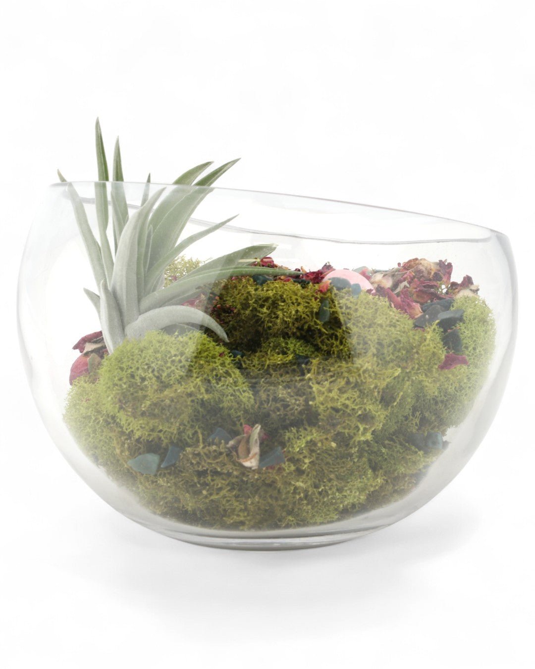 Love and Compassion Terrarium with Air Plant、mySite、topwebapps