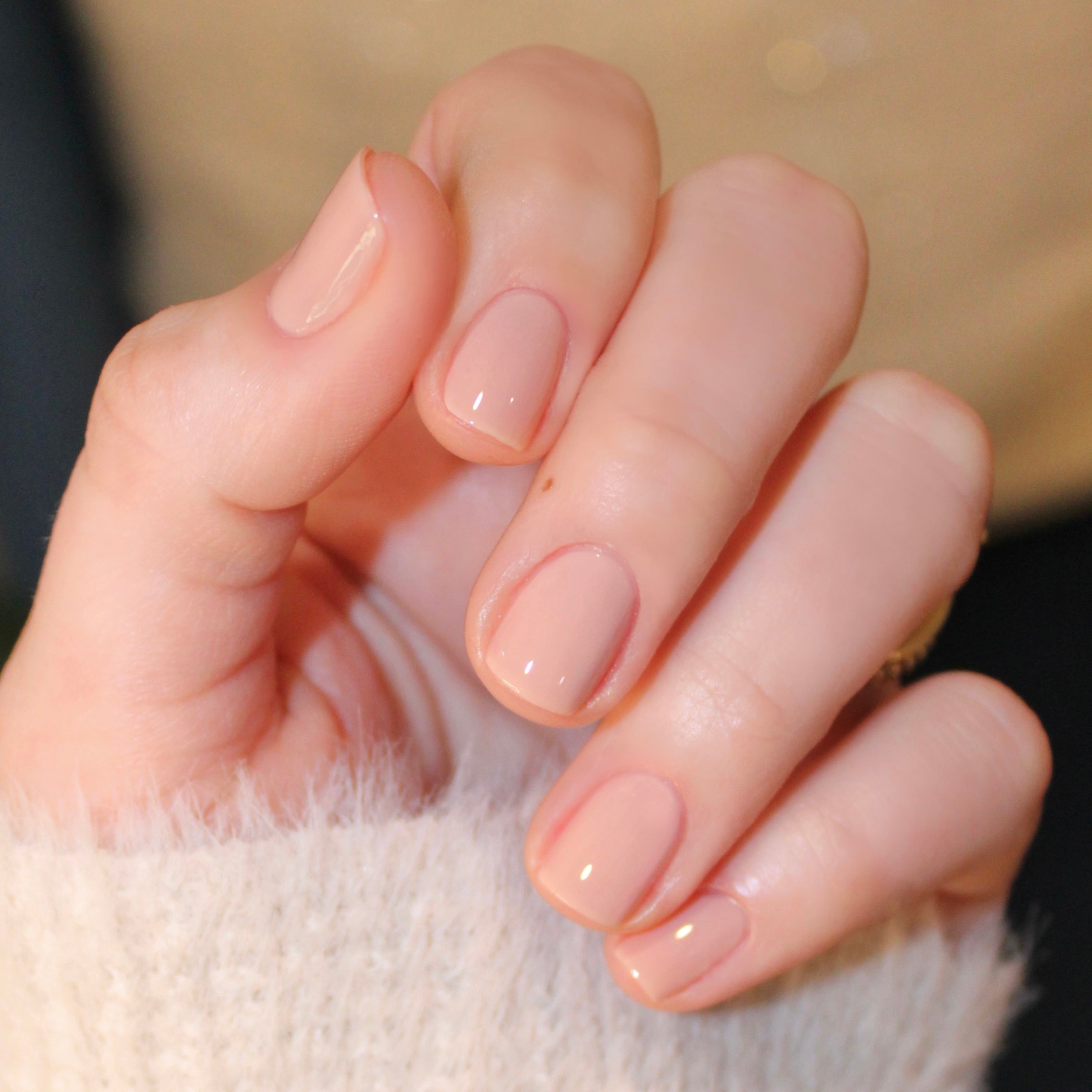 CHM、mySite、solidvoid