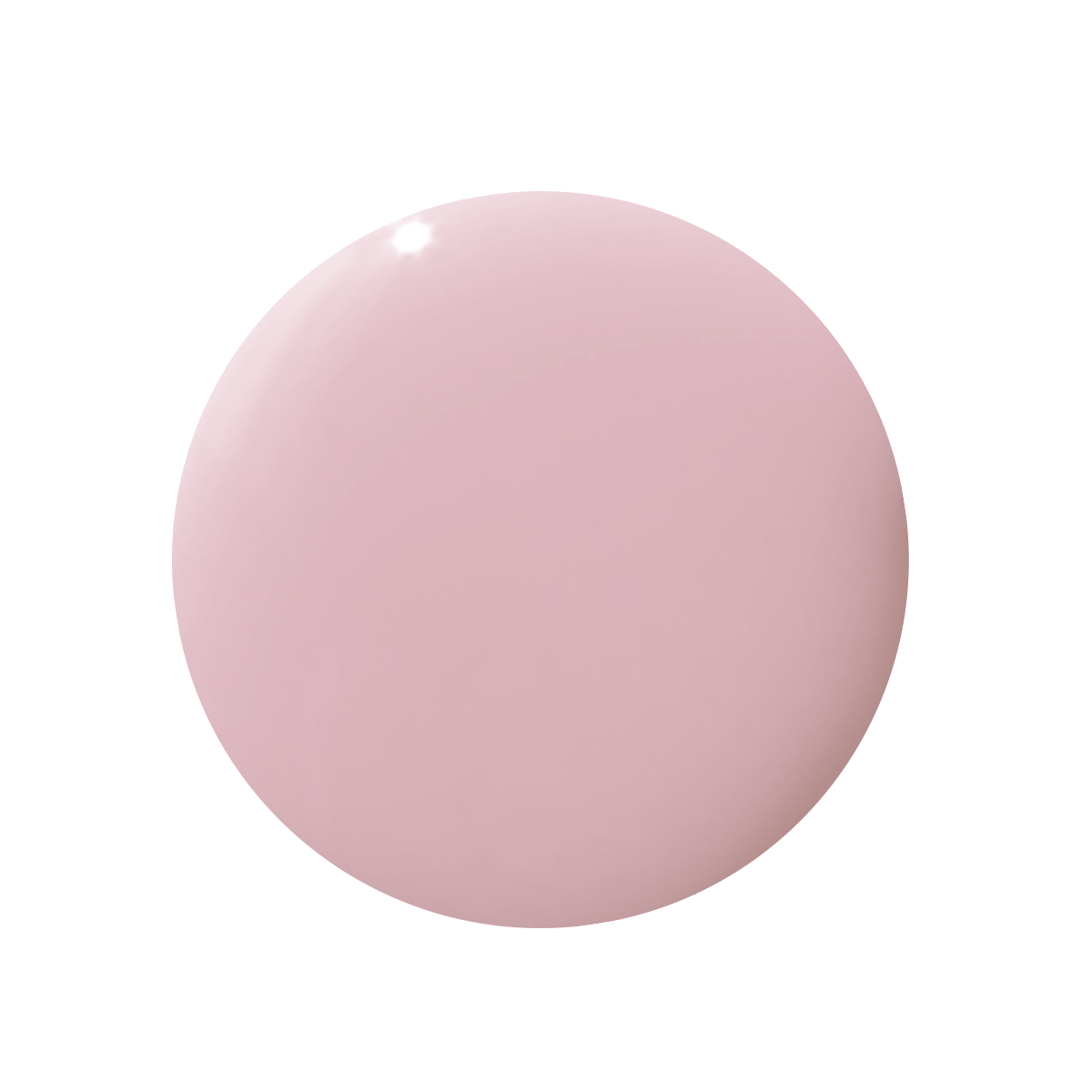 Potpourri、mySite、solidvoid