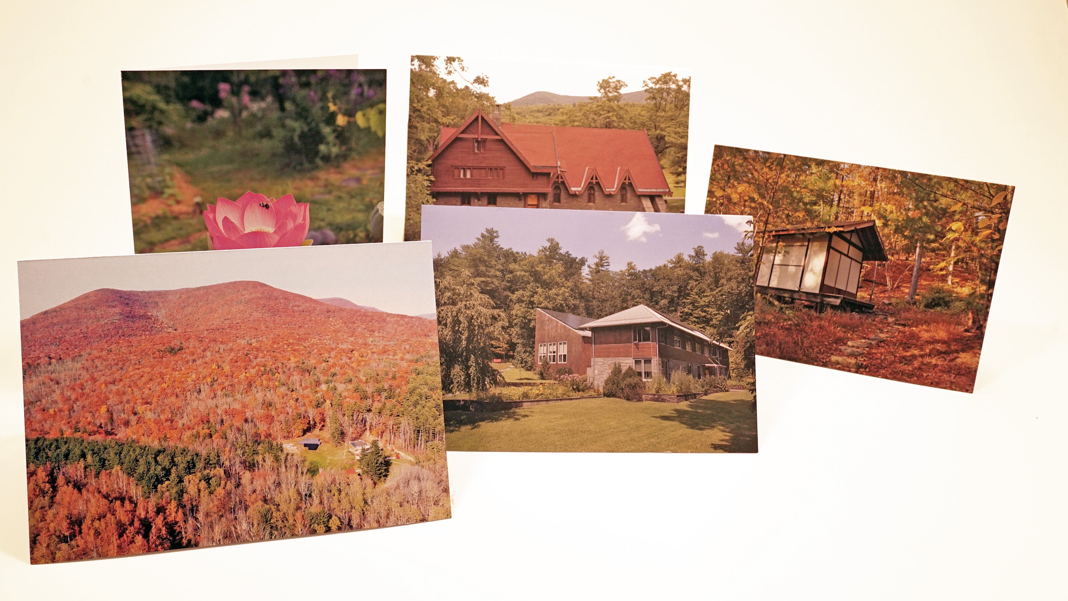 Zen Mountain Monastery greeting cards、mySite、topwebapps