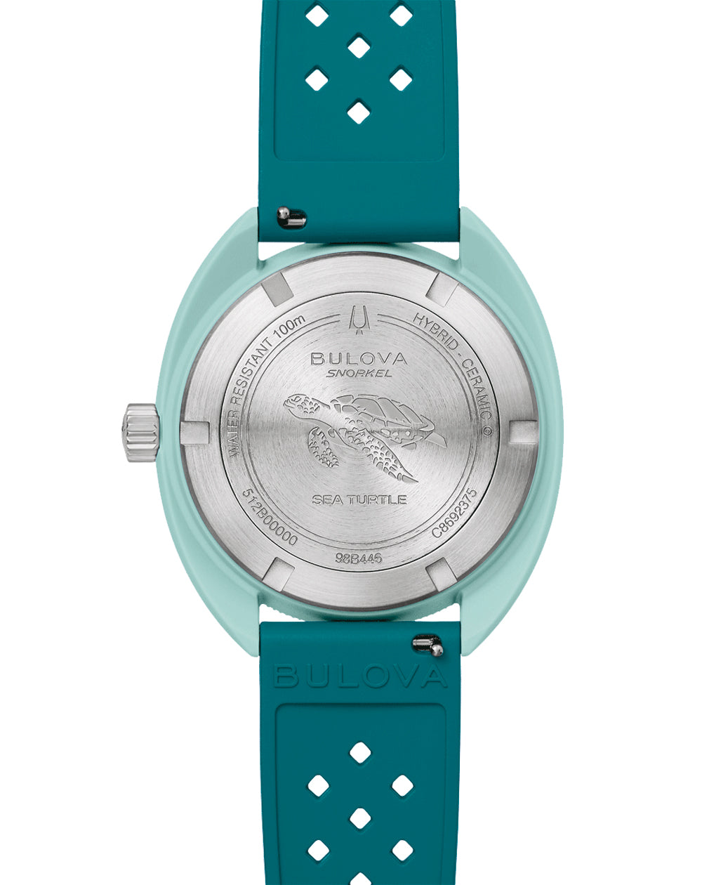 98B446 Sea Turtle Snorkel、mySite、botmansion