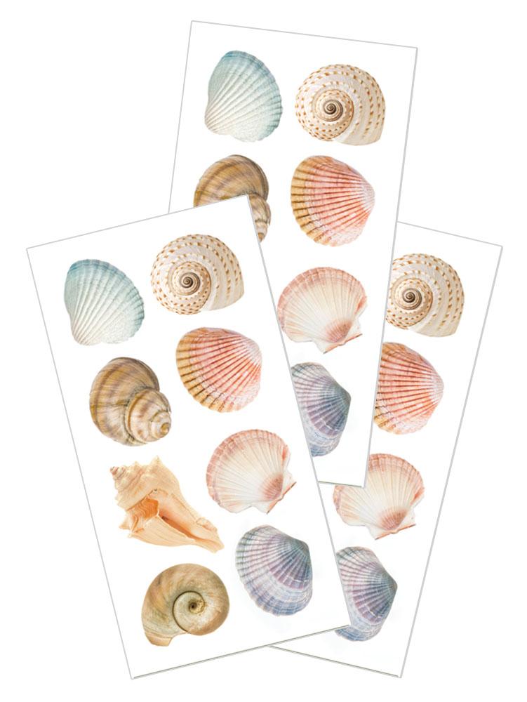  Decorative Stickers - Seashells、mySite、ghnorth