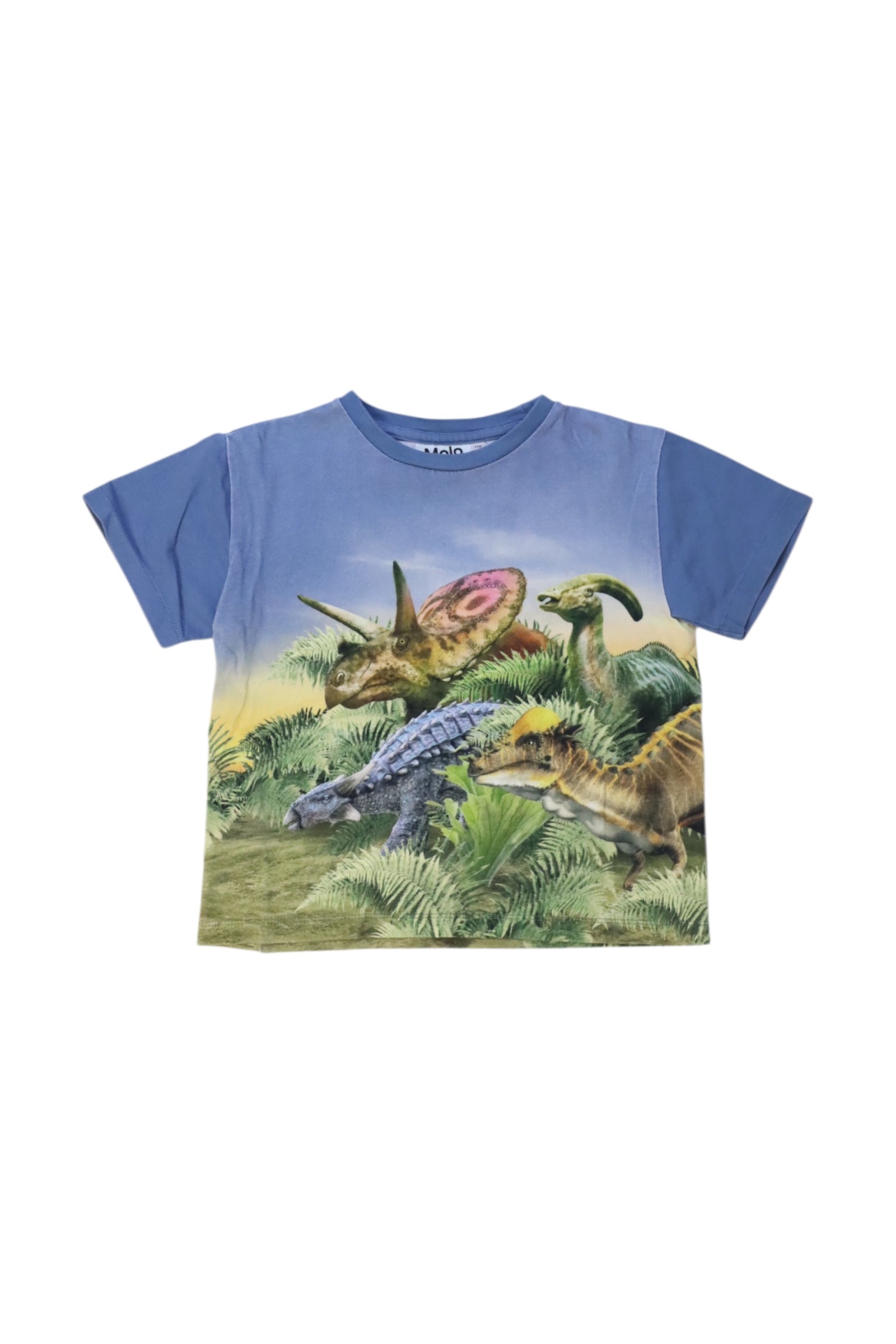 Molo Dinosaur Print T-Shirt Size 5T、mySite、g9winljtr
