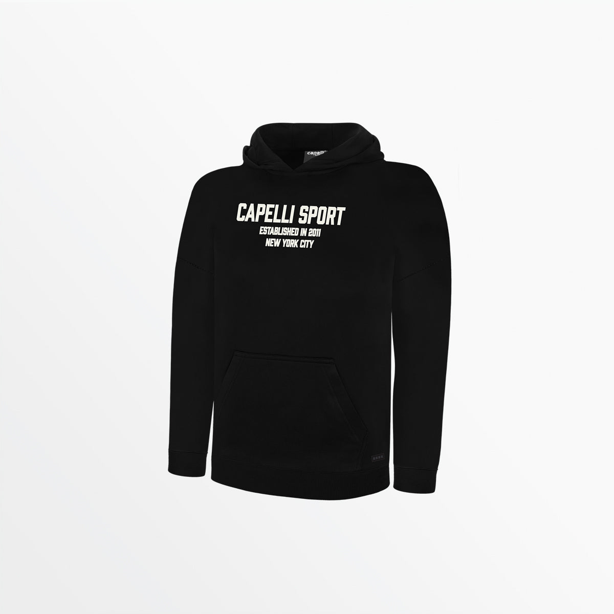 YOUTH CS ESTABLISHED PULLOVER HOODIE