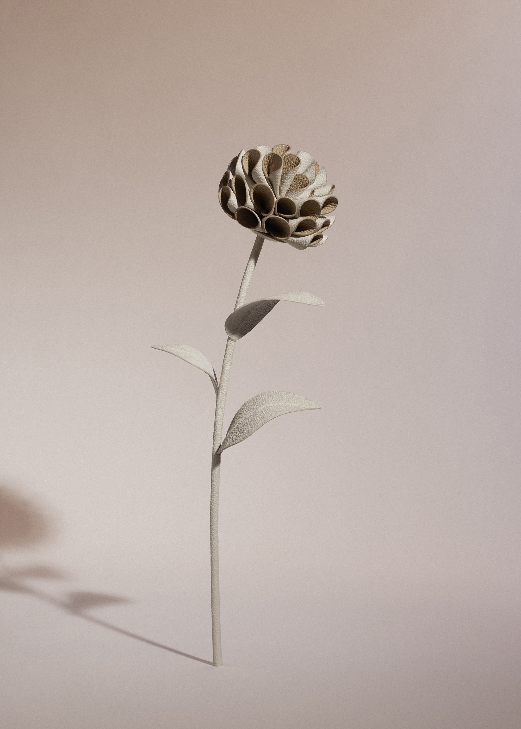 Fleur Dalium - Duo Craie Grain茅、mySite、camillekostekn