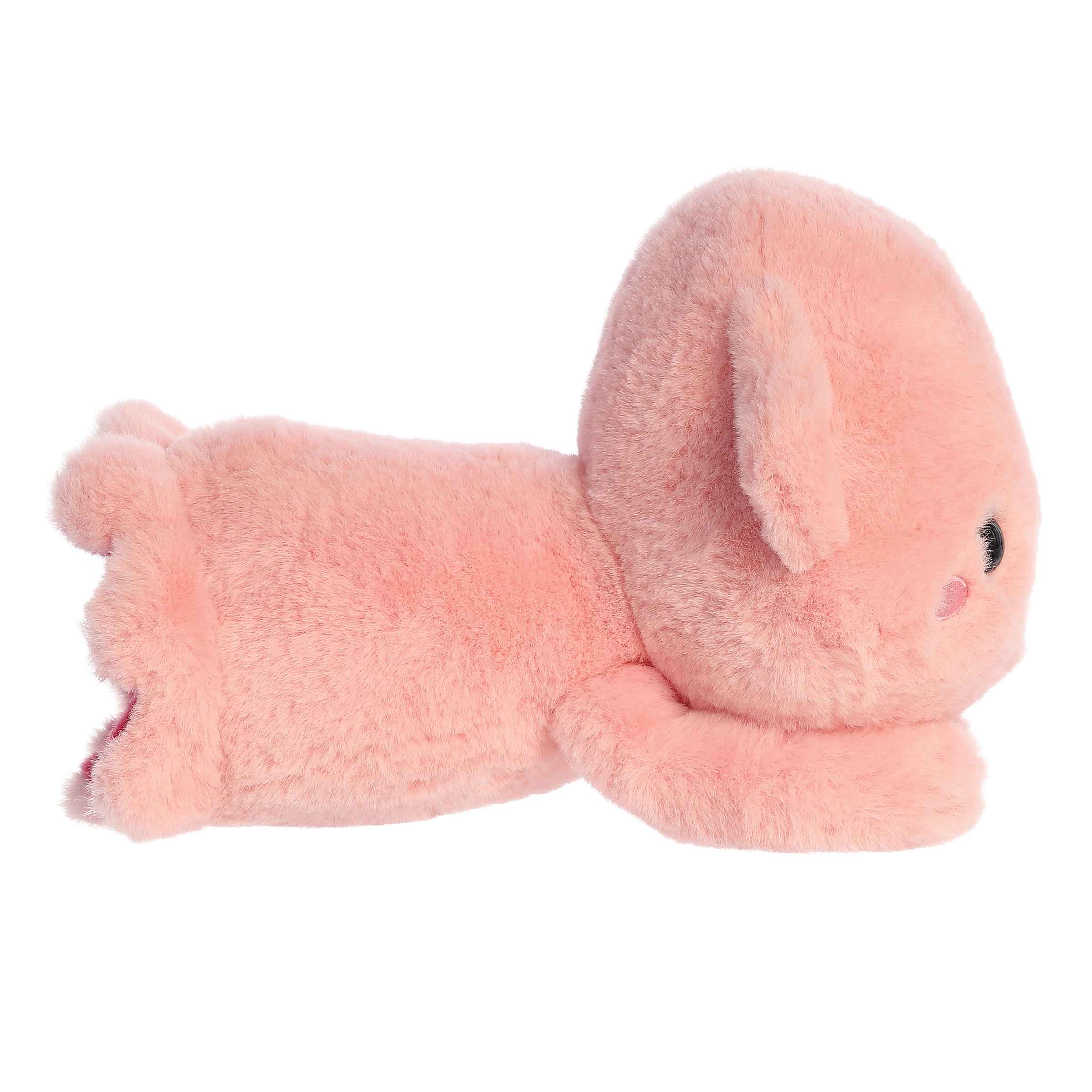 Aurora® - Too Cute™ - 9 Skyler Squid™、mySite、g9winljtr