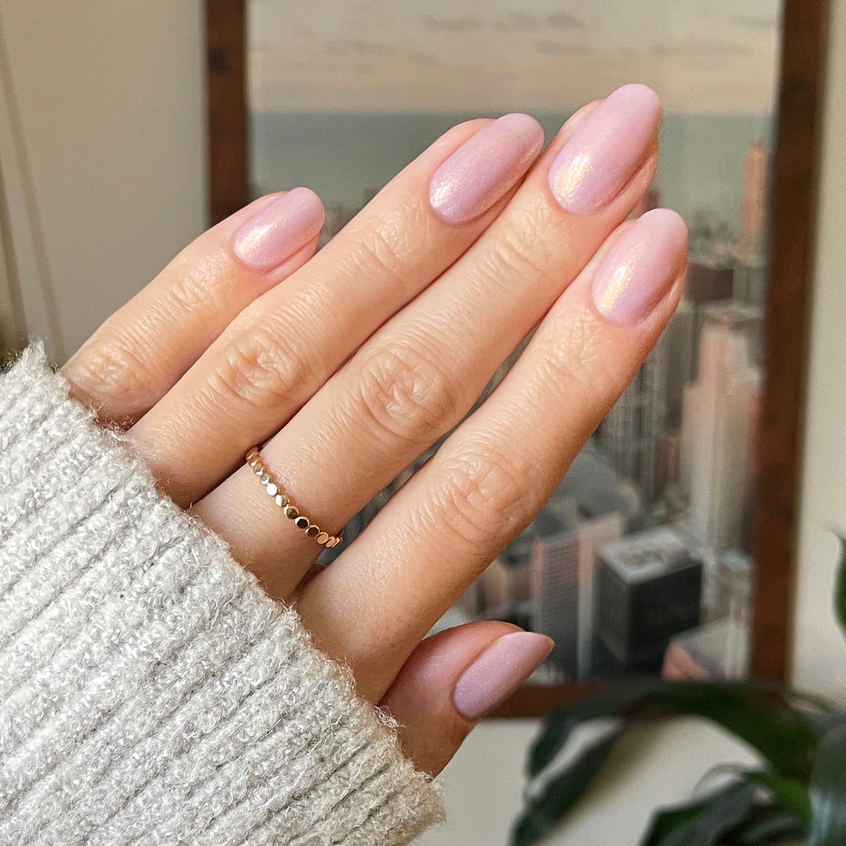 Star Baker、mySite、solidvoid