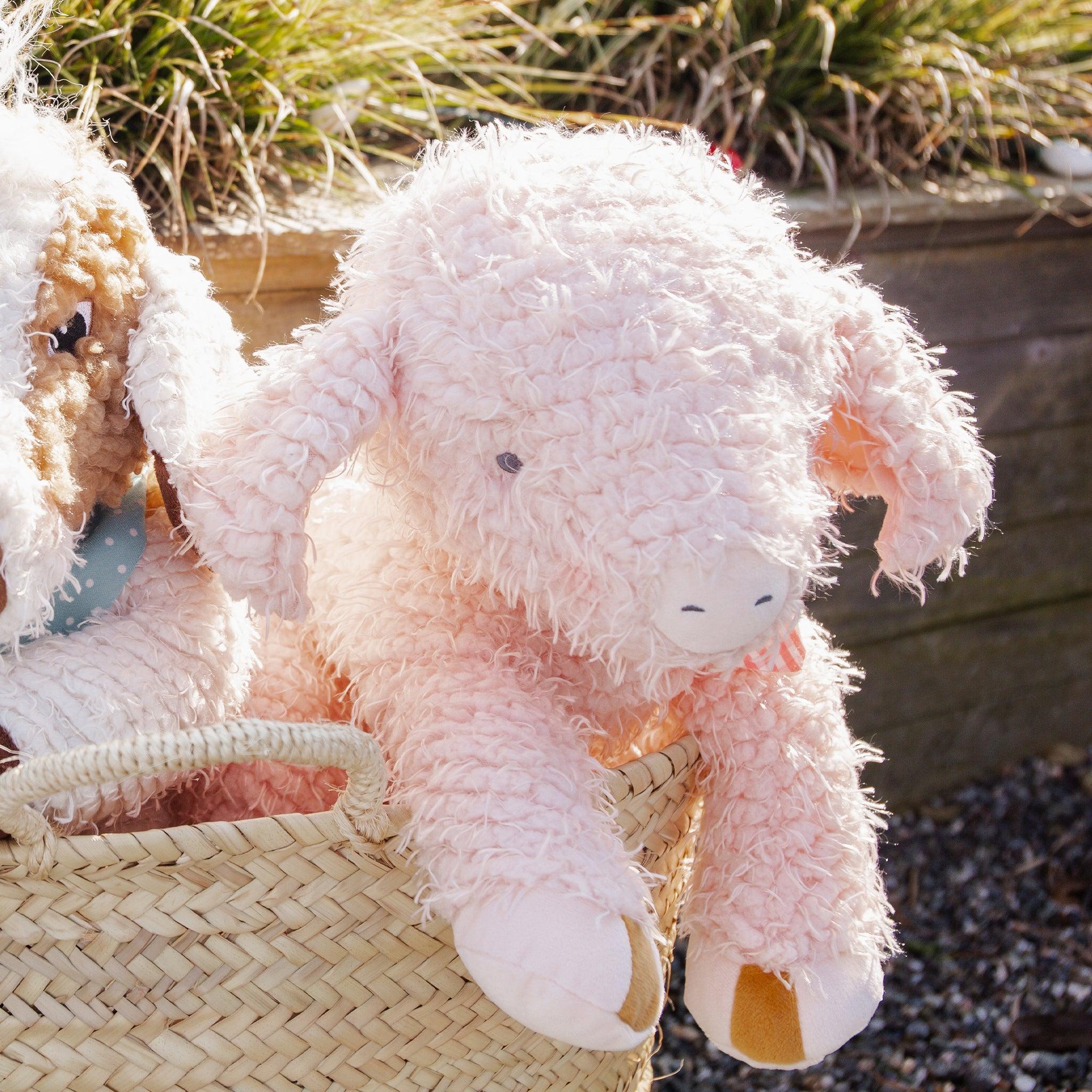 Big Hammie the Pig、mySite、g9winljtr