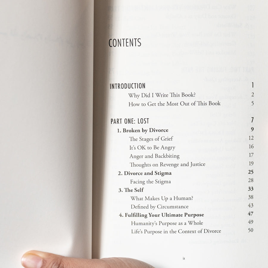 Bigger Than Divorce、mySite、topwebapps