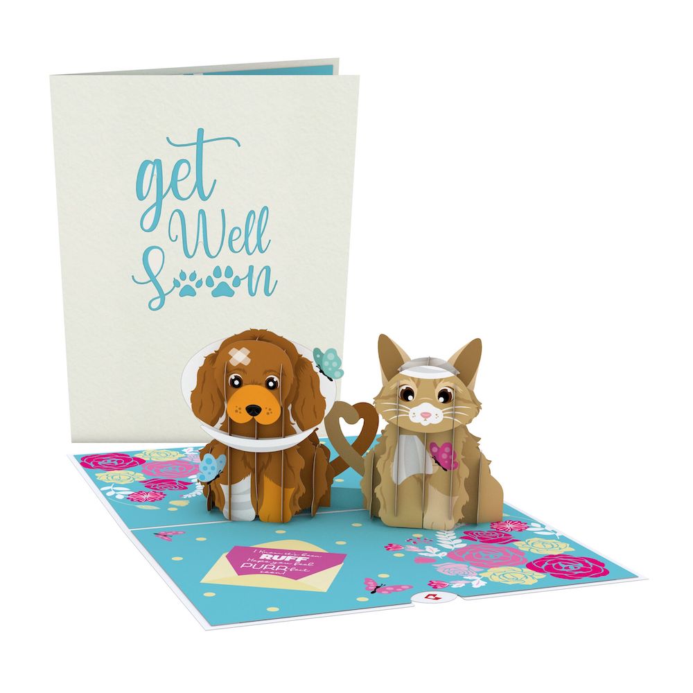 Get Well Soon Pets Pop-Up Card、mySite、solidvoid
