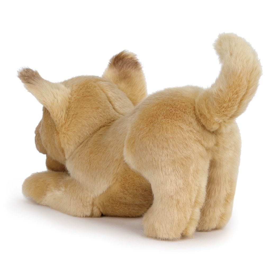 Plush Mixed Breeds: Maltipoo, Terrier Mix, & Labradoodles、mySite、g9winljtr