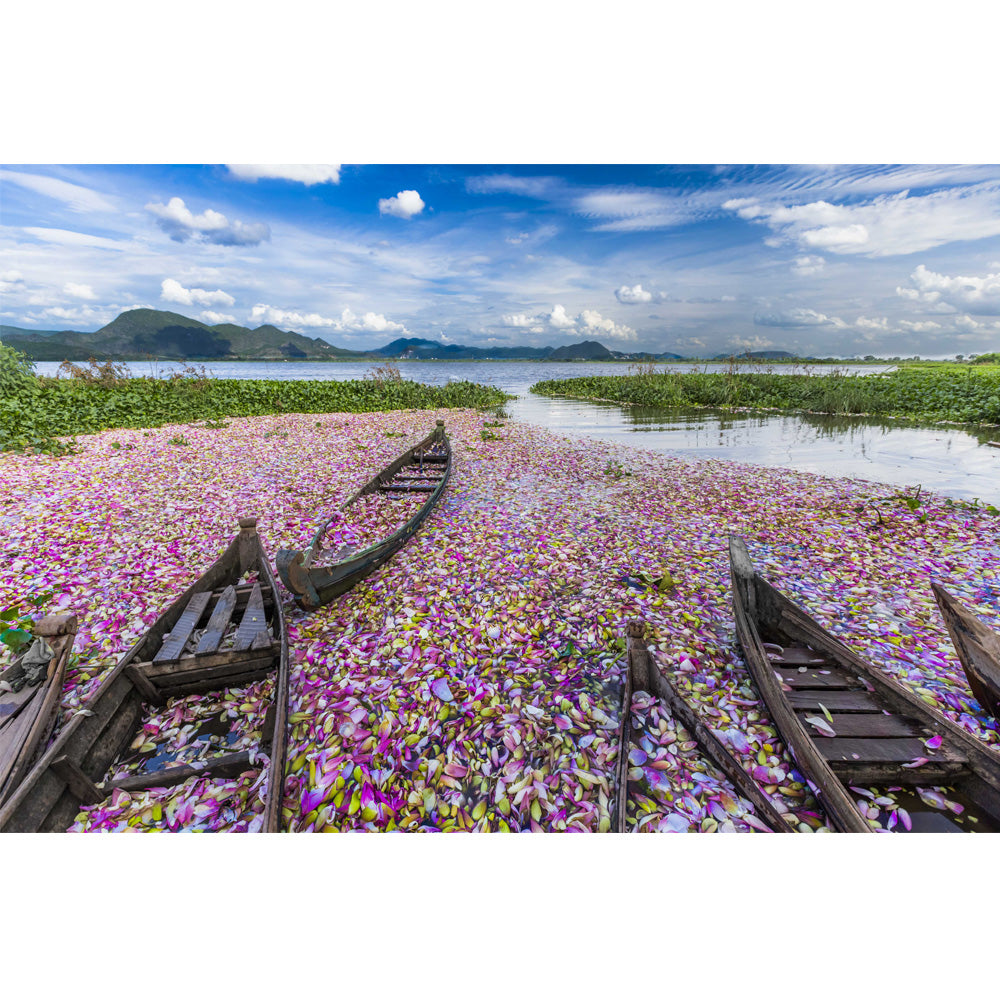 Lotus Harvest Wall Art、mySite、topwebapps