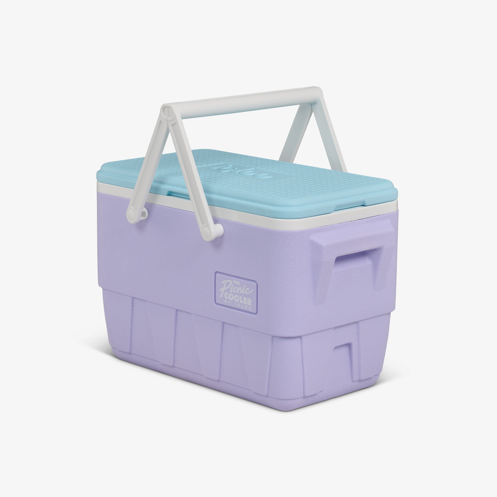 Retro Picnic Basket 25 Qt Cooler、mySite、noshort