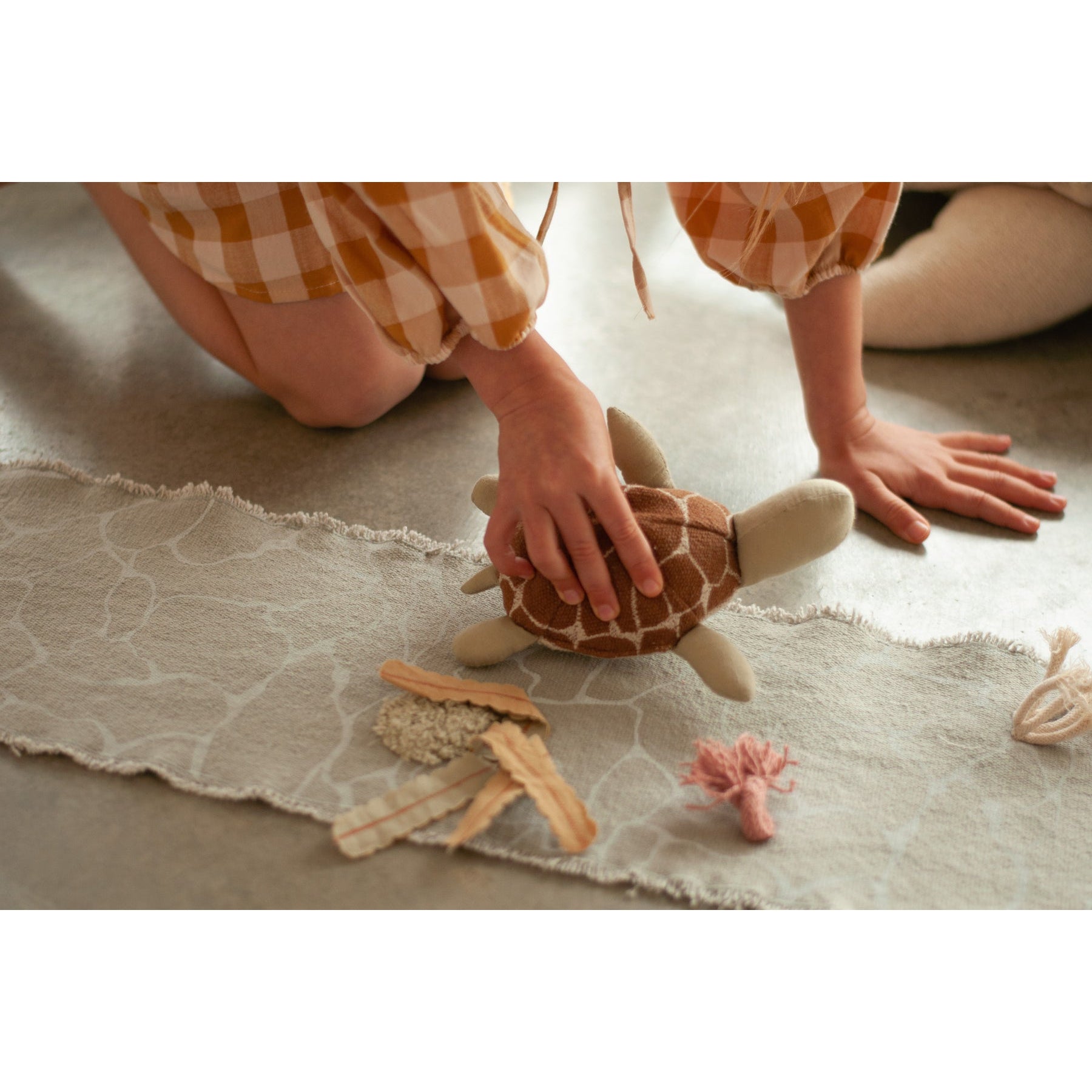 Sea Wonders Ride & Roll Under the Sea、mySite、gigharbornorthrealestate