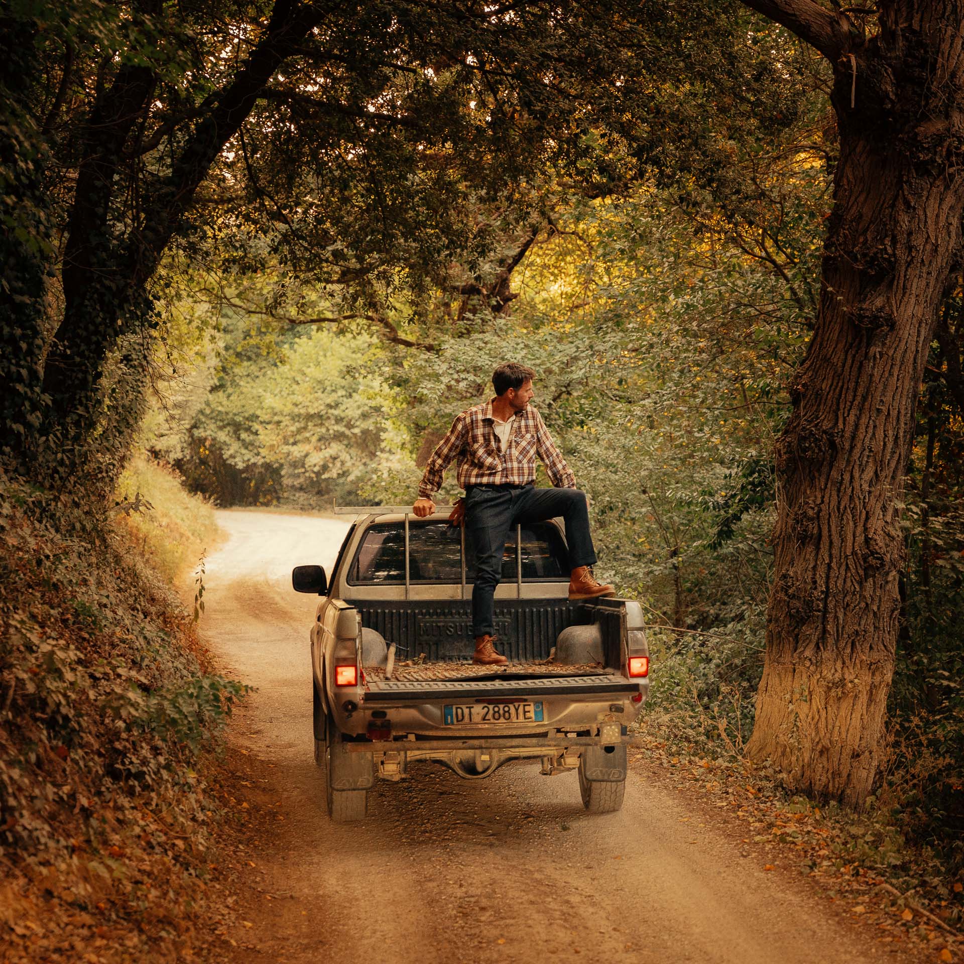  Pastissee、mySite、merchandisen