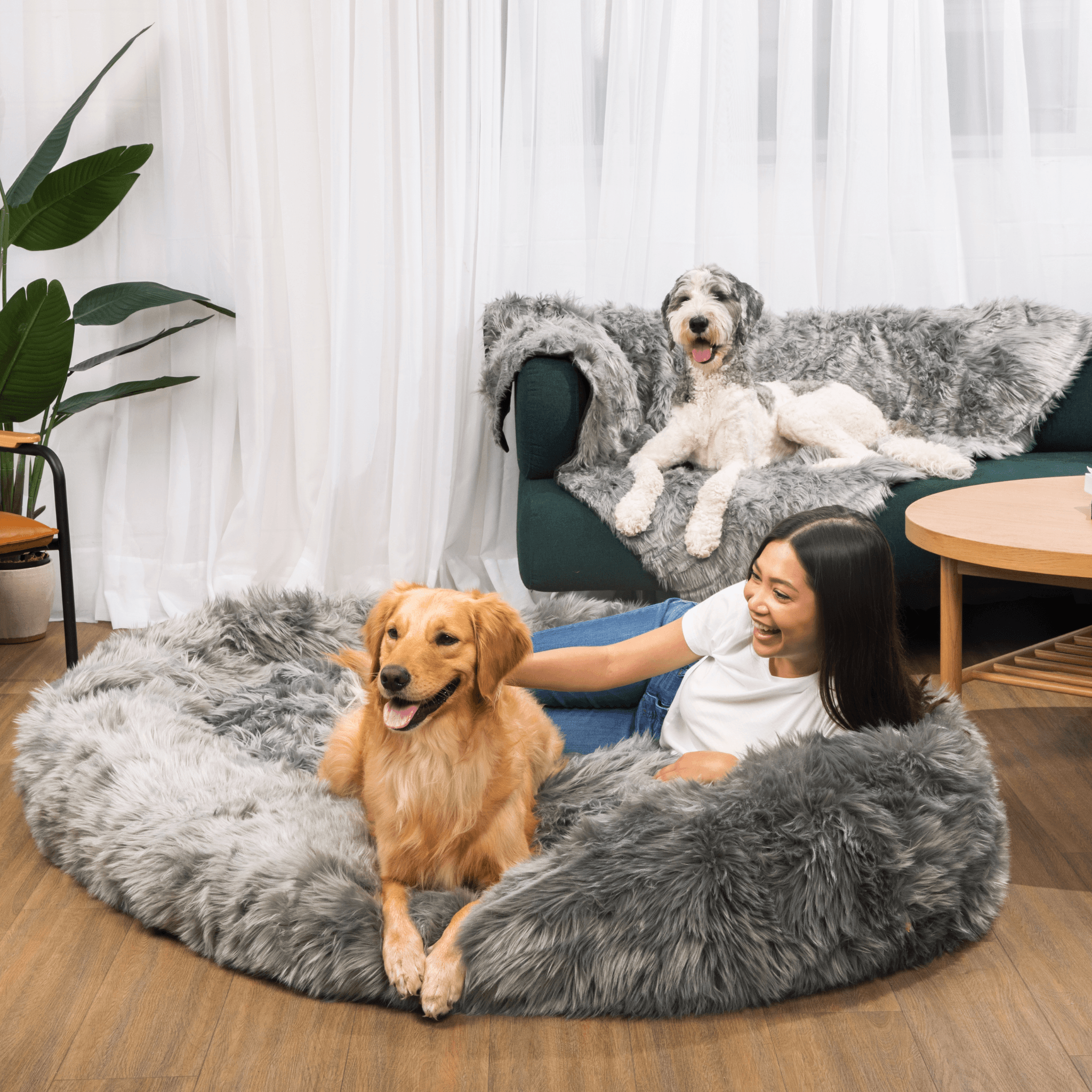 PupCloud™ Human-Size Dog Bed + Matching Waterproof Blanket Bundle - Charcoal Grey、mySite、solidvoid