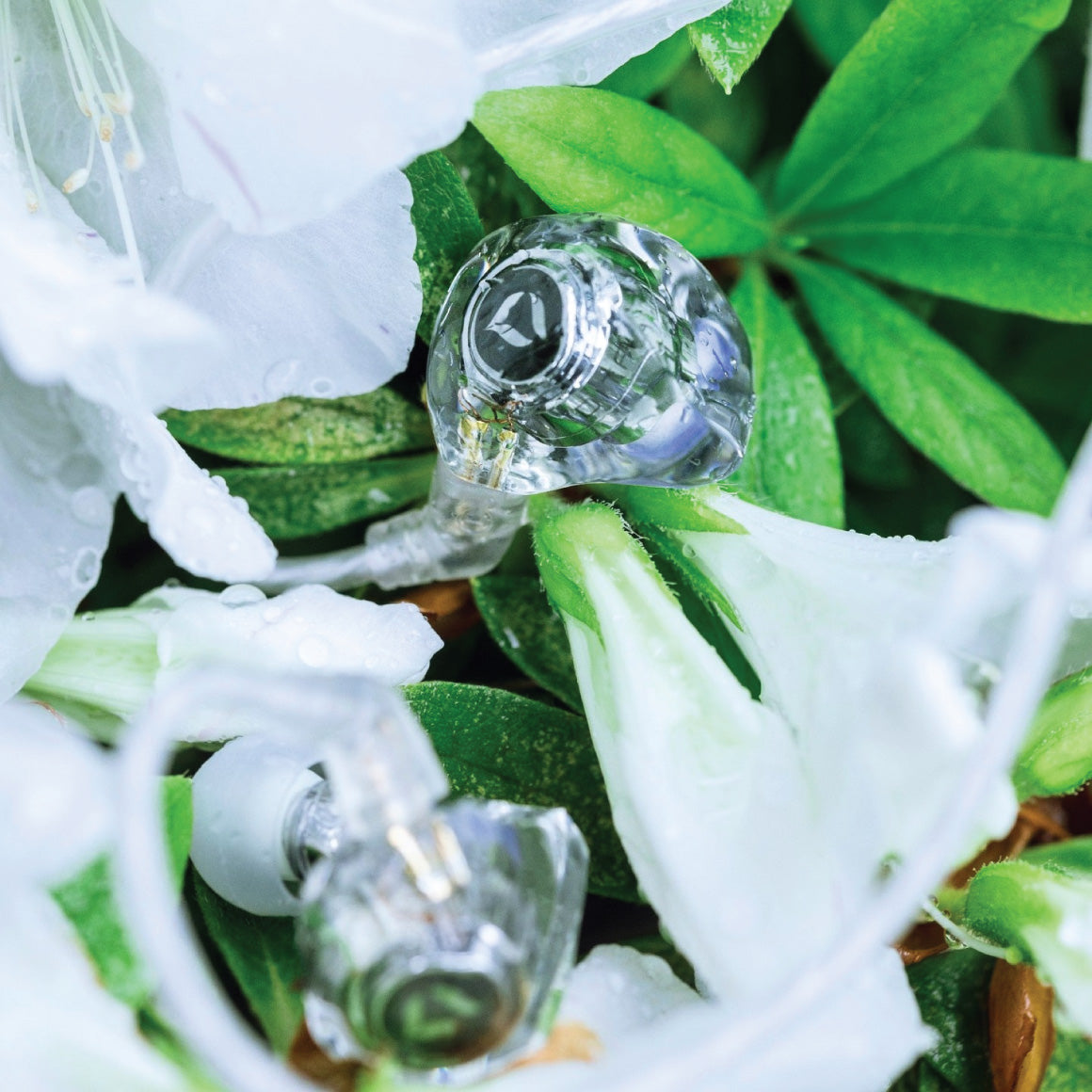  DITA Audio - Project M、mySite、merchandisen