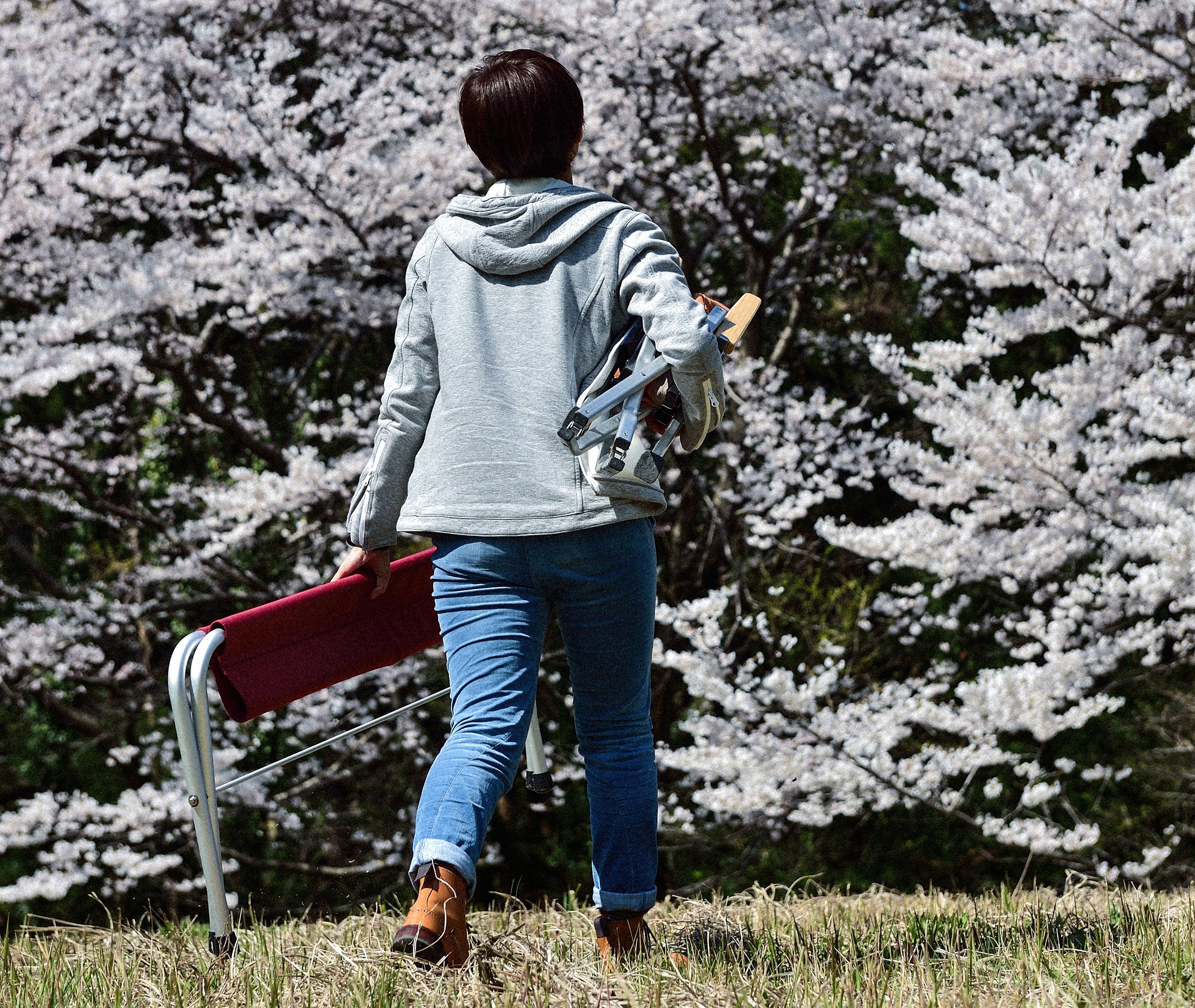 Red FD Folding Camping Bench、mySite、topwebapps