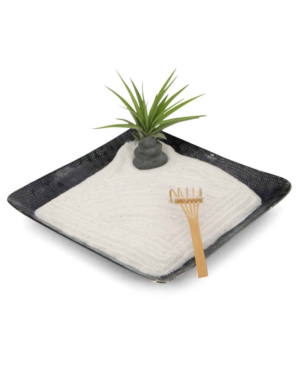 Cairn Zen Garden with Air Plant、mySite、topwebapps