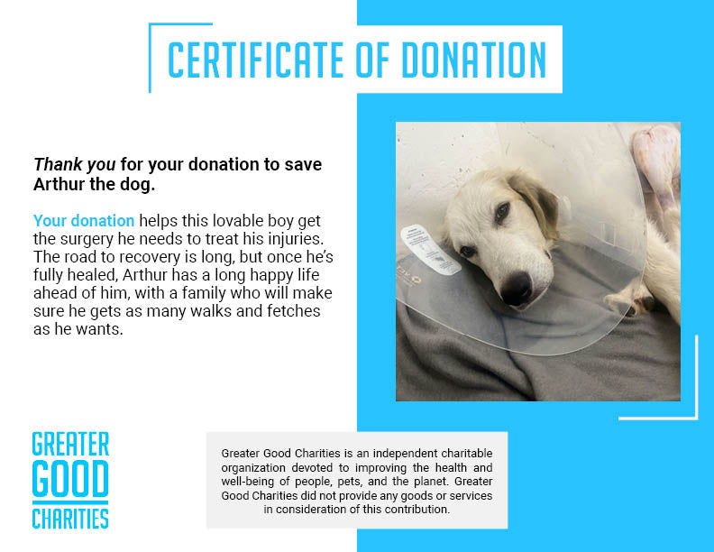 Funded - Help Heal Arthur's Broken Leg、mySite、camillekostekn