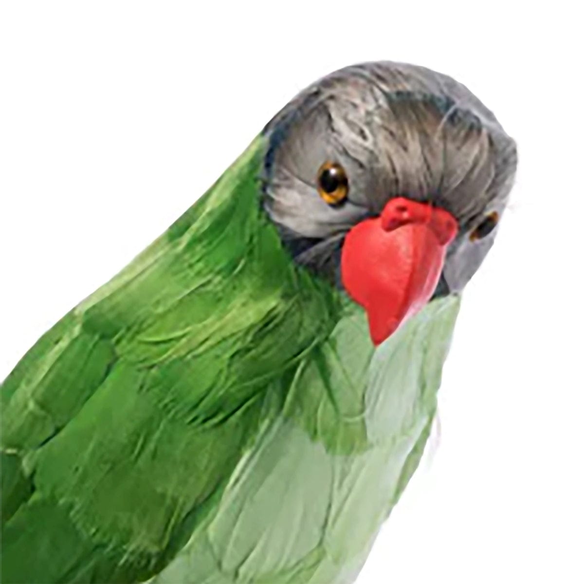ARTIFICIAL BIRDS: GREEN PARROT、mySite、zt4zffjzw