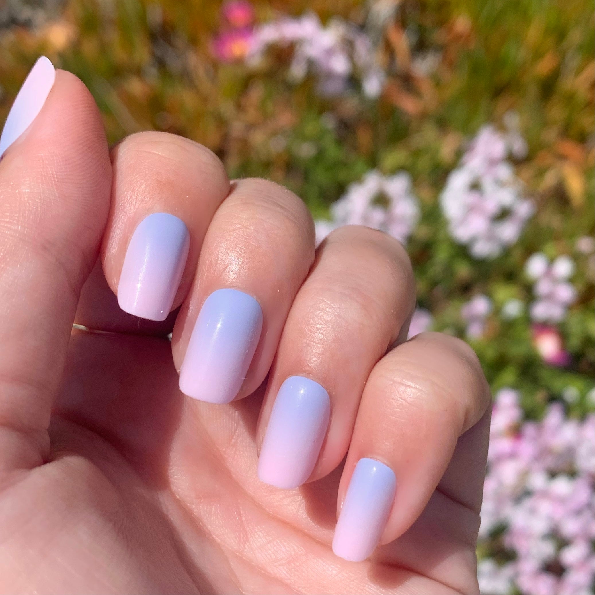 Lavender Dream Gradient | Squoval | Short、mySite、solidvoid