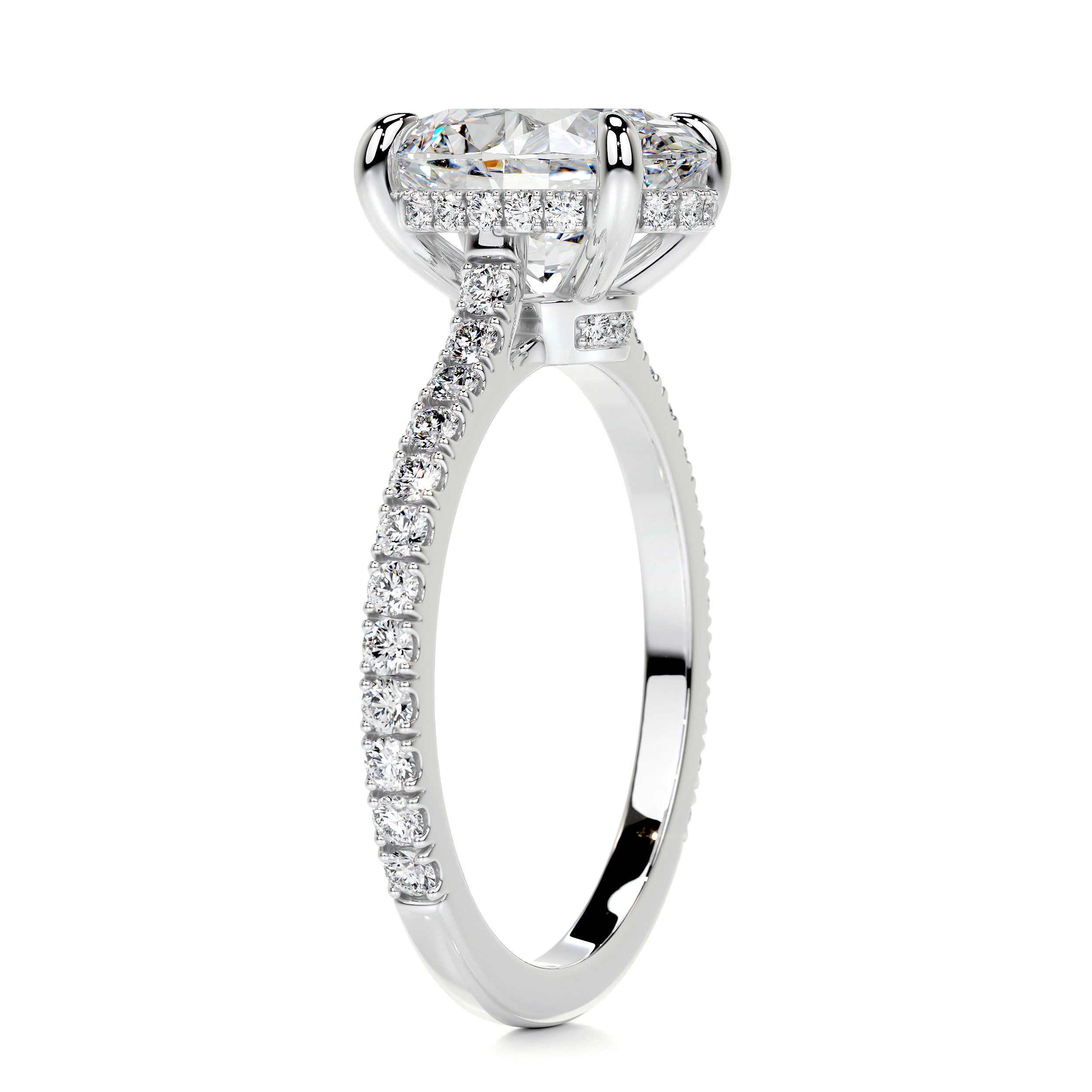 Dionne Moissanite & Diamond Ring -14K White Gold (RTS)、mySite、hinf8tx79