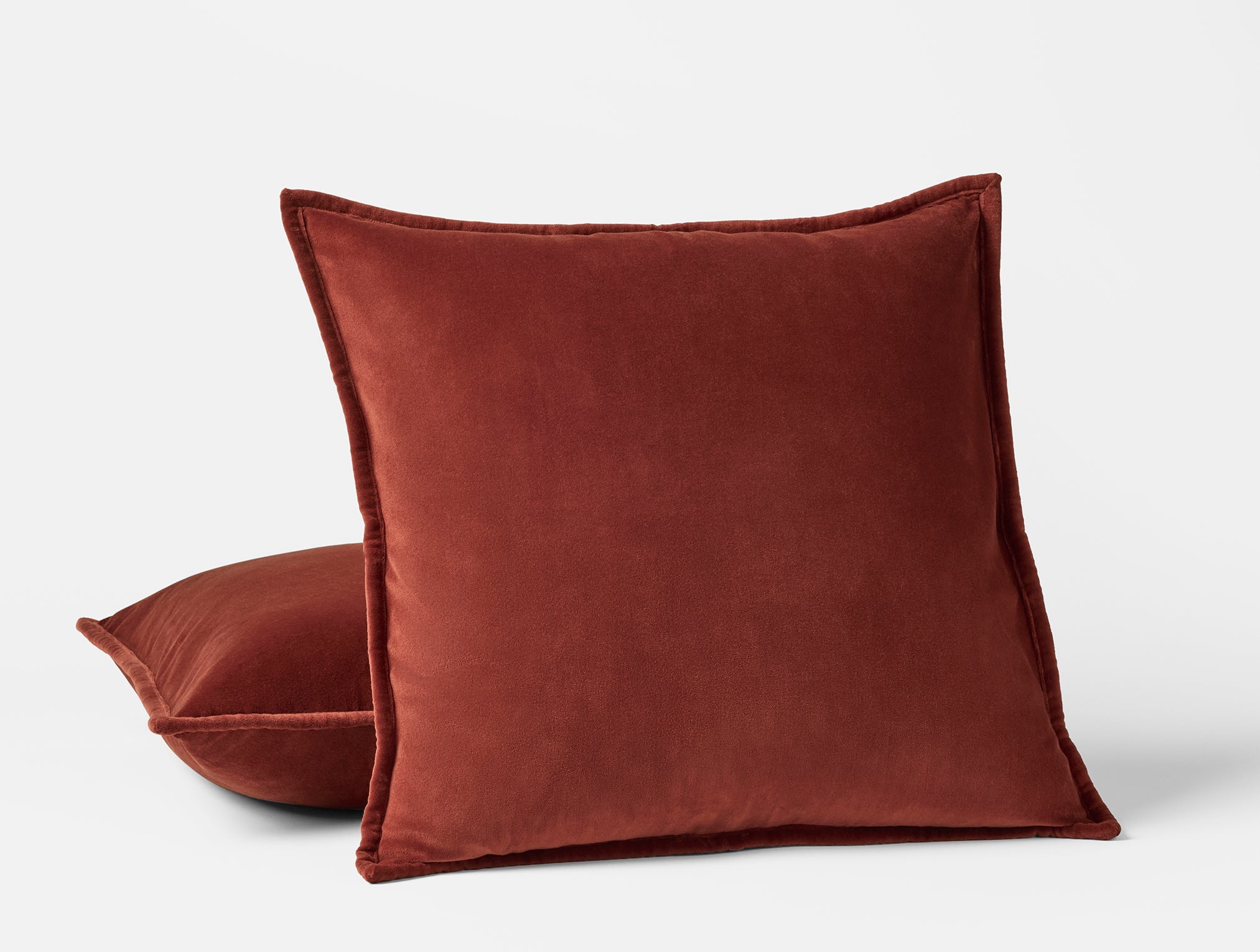  Velvet Organic Pillow Cover - Renewed、mySite、sugarbowlscore