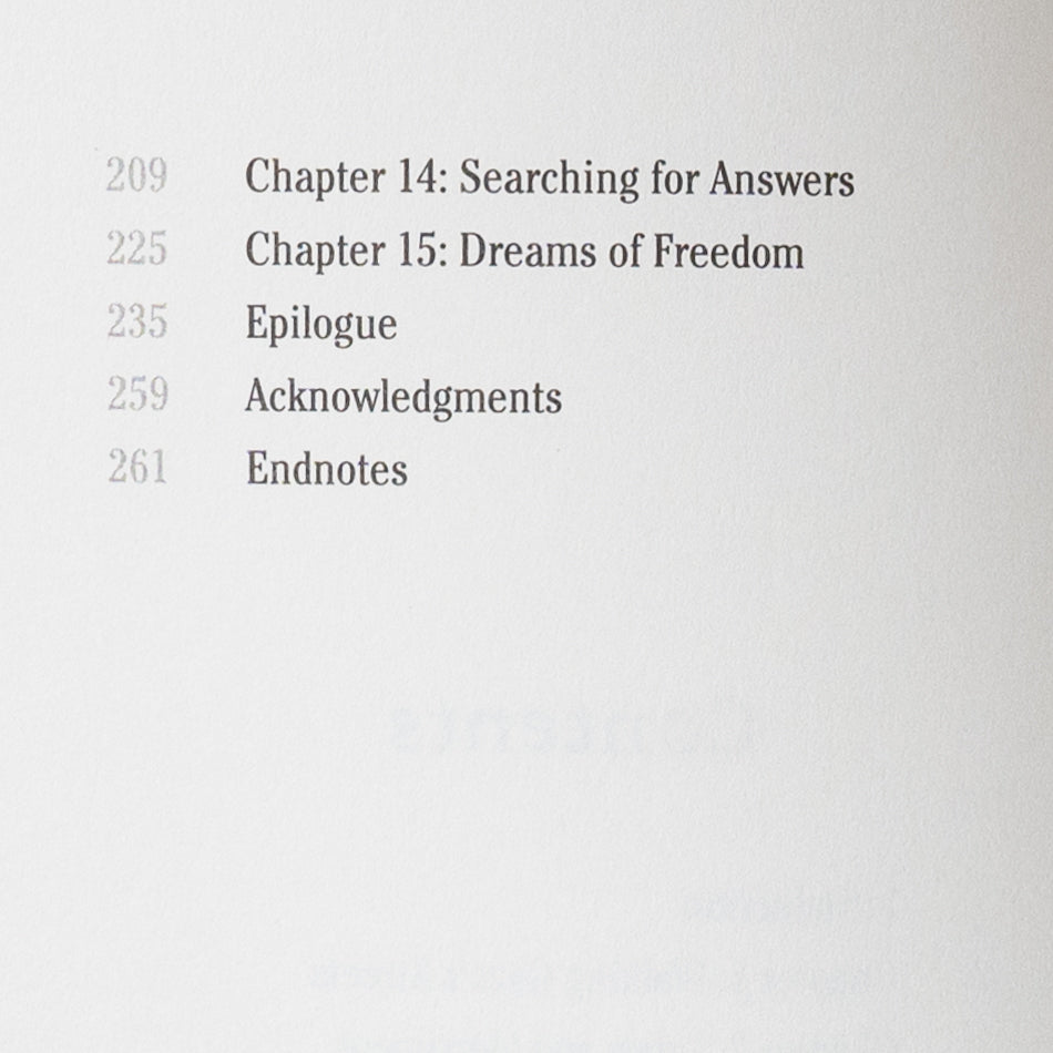 On the Pleasures of Living in Gaza、mySite、topwebapps