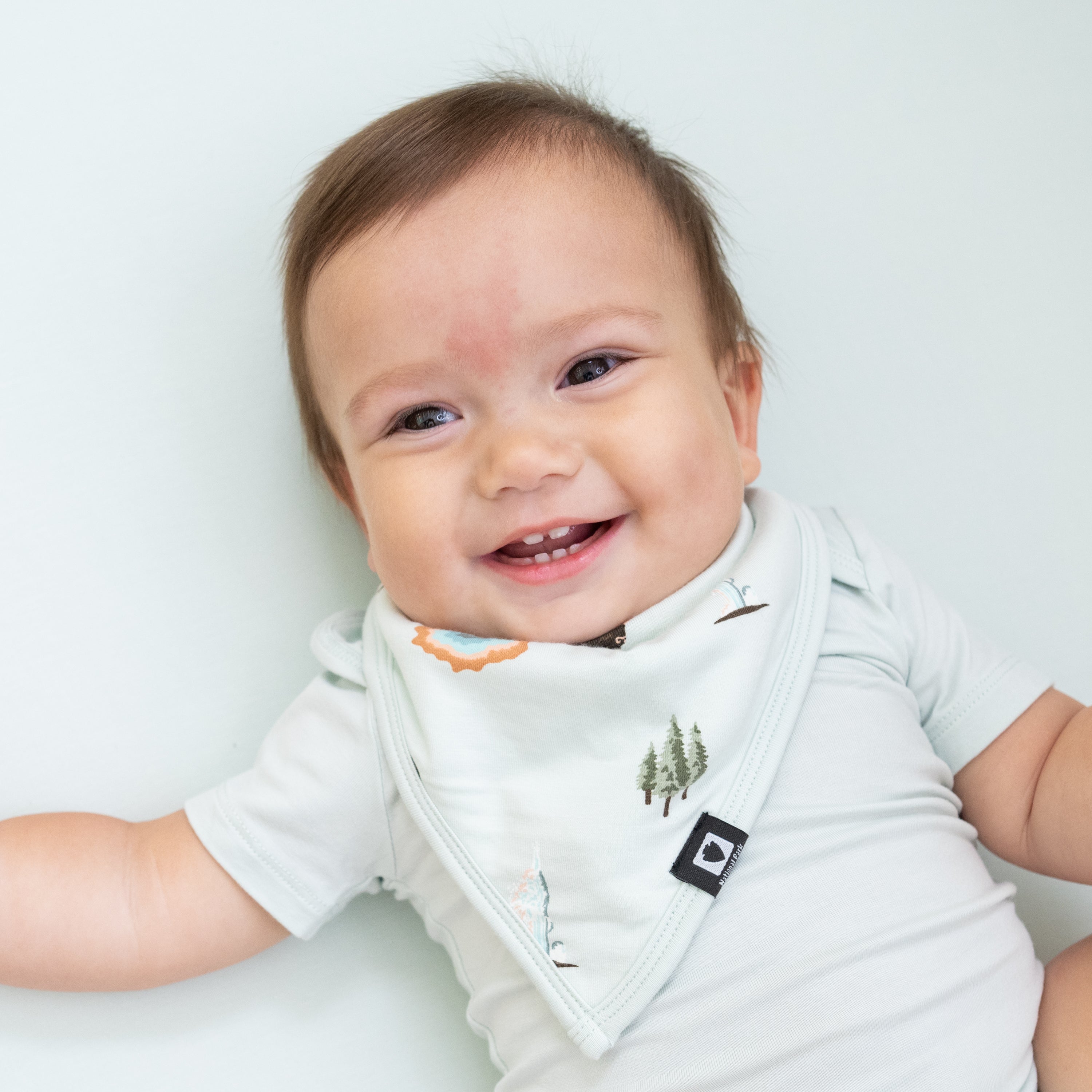  Bib in Yellowstone、mySite、layawaytickets