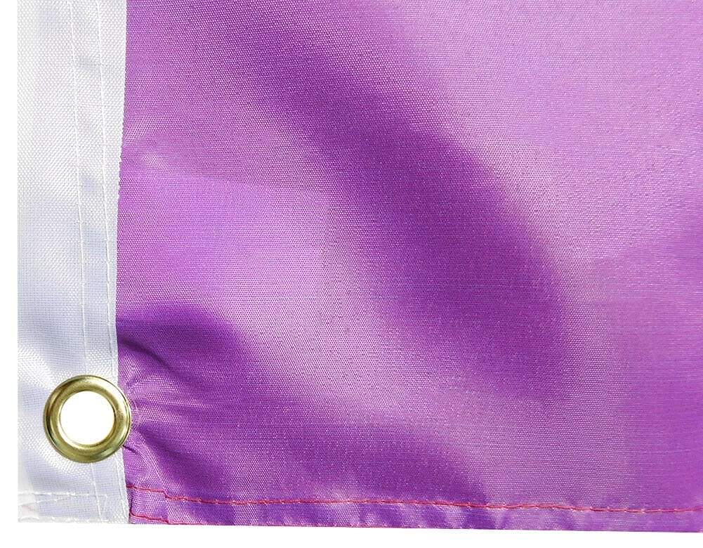 Huge Rainbow Star of David Pride Flag、mySite、topwebapps